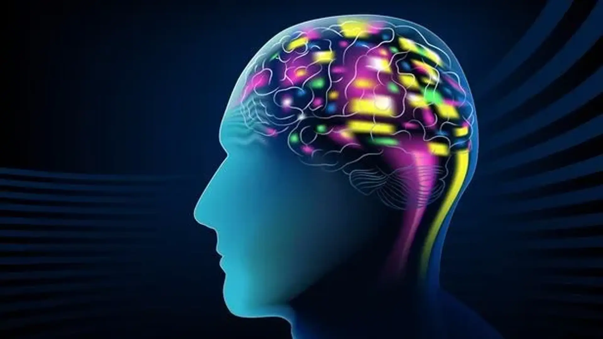 دارپا ،  شش پروژه مرتبط با رابط کاربری مغز و کامپیوتر را راه اندازی کرد