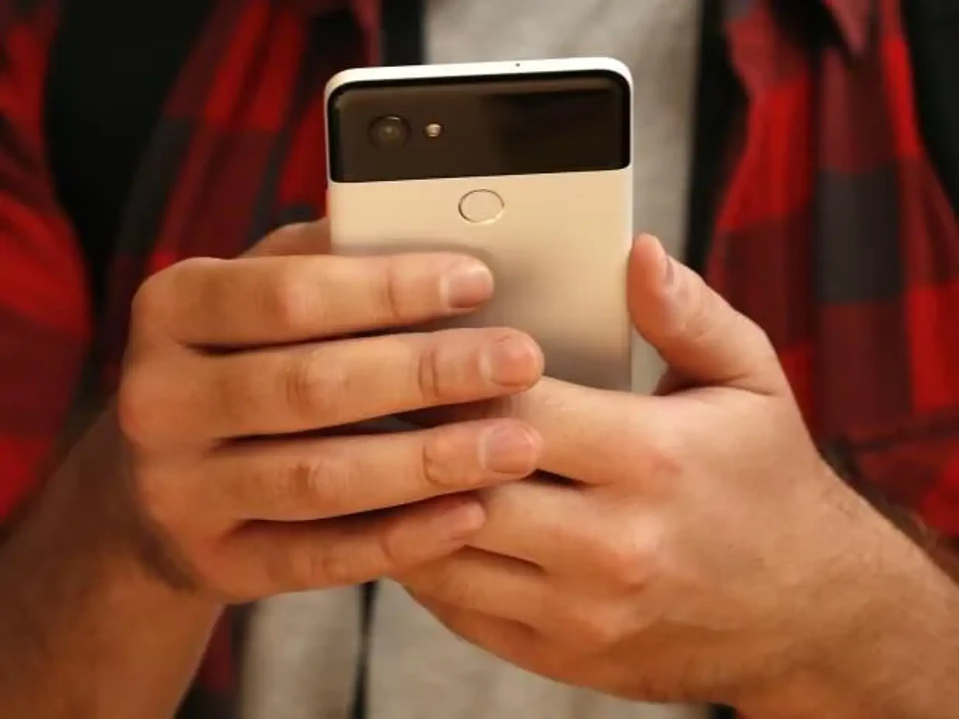 گوگل در خصوص مشکلات صفحه نمایش Pixel 2 XL واکنش نشان داد