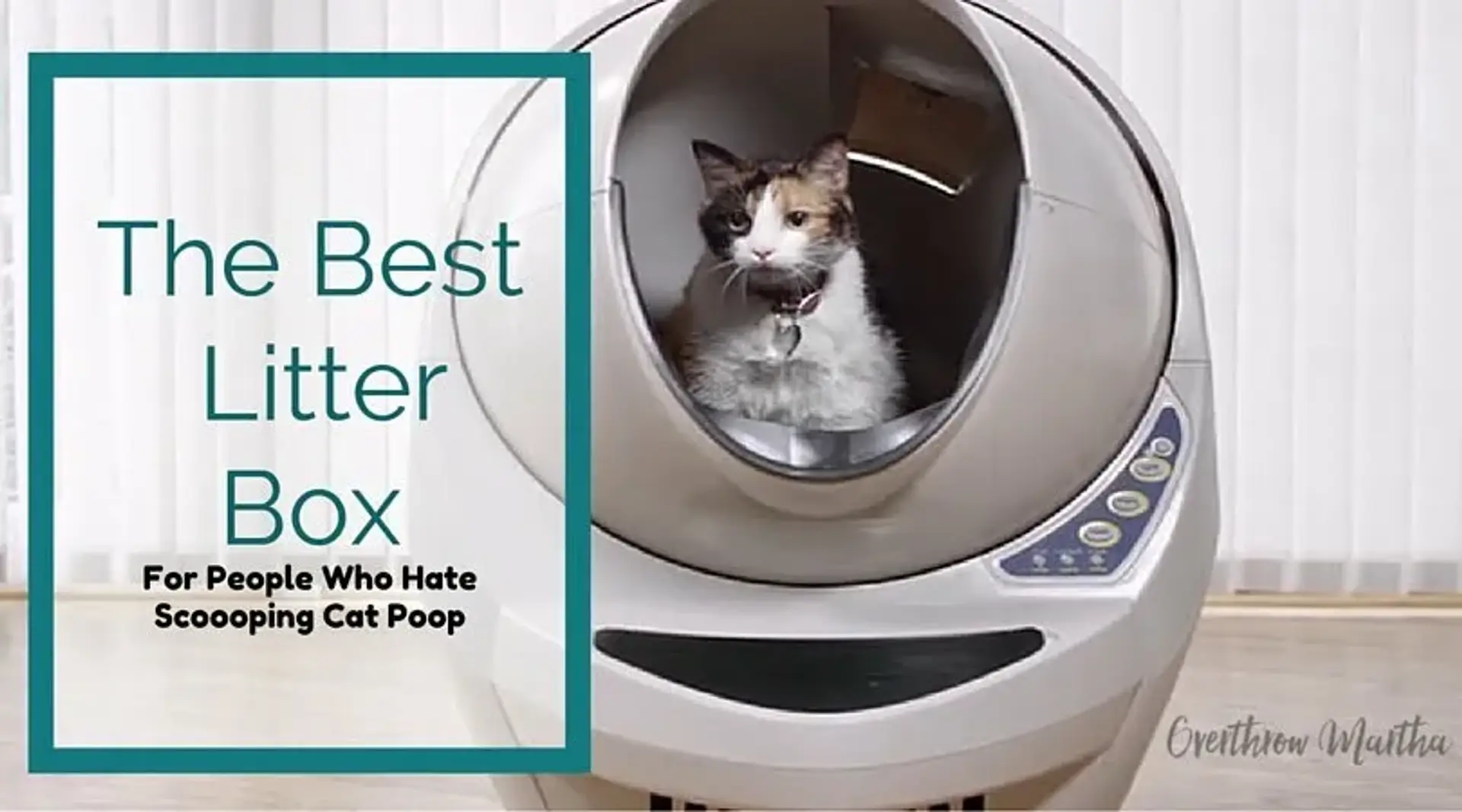 لانه هوشمند Litter Robot ، محل زندگی مدرن برای گربه های خانگی (+ویدئو)