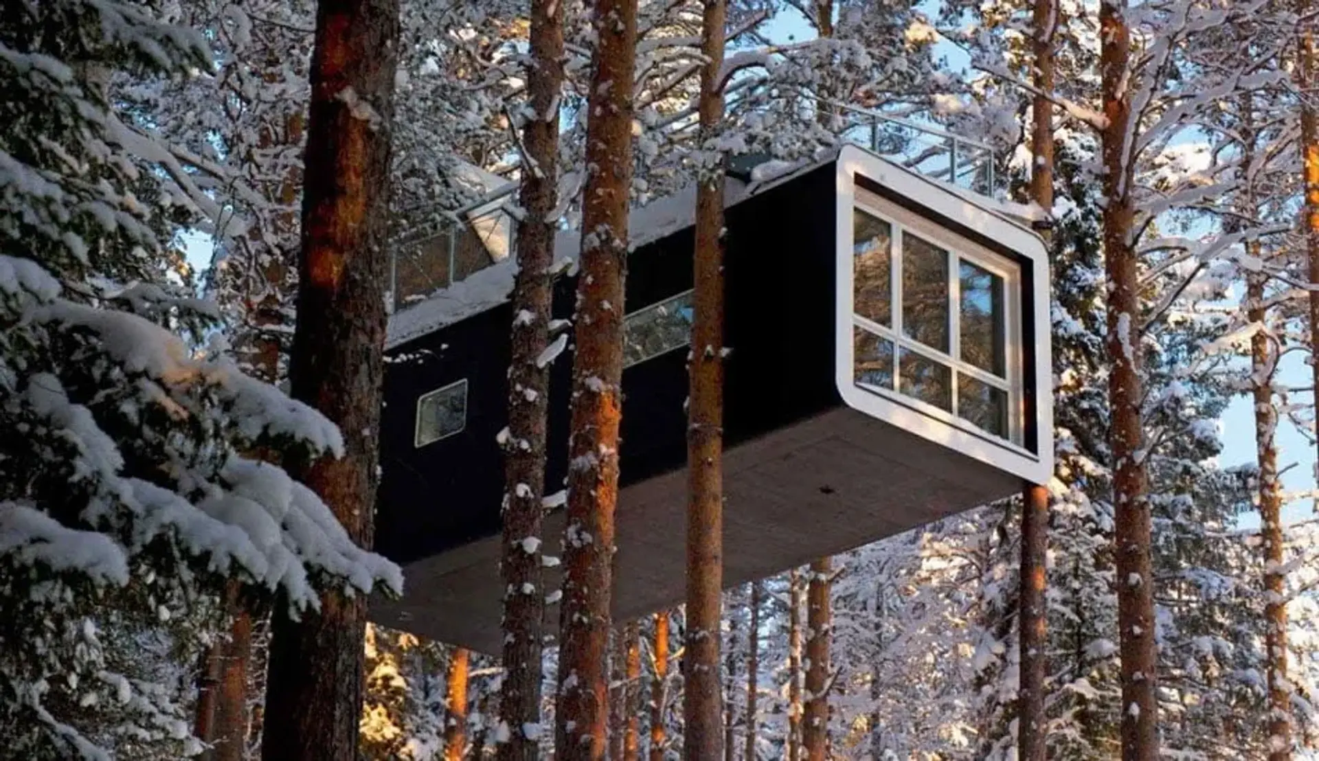 هتل درختی شگفت انگیز در سوئد که اتاق‌هایش بر فراز درختان قرار دارد