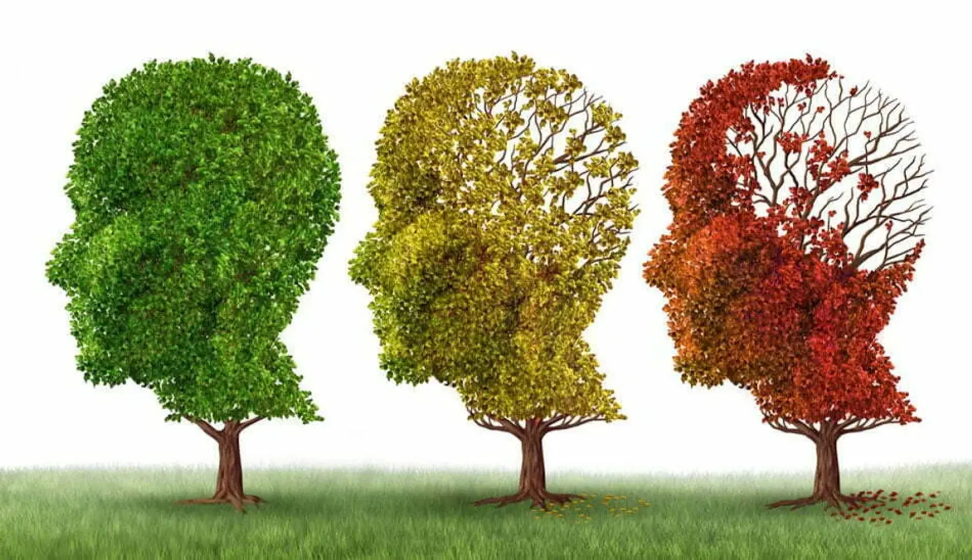 سیگار کشیدن و دیابت می توانند باعث ابتلا به آلزایمر شوند