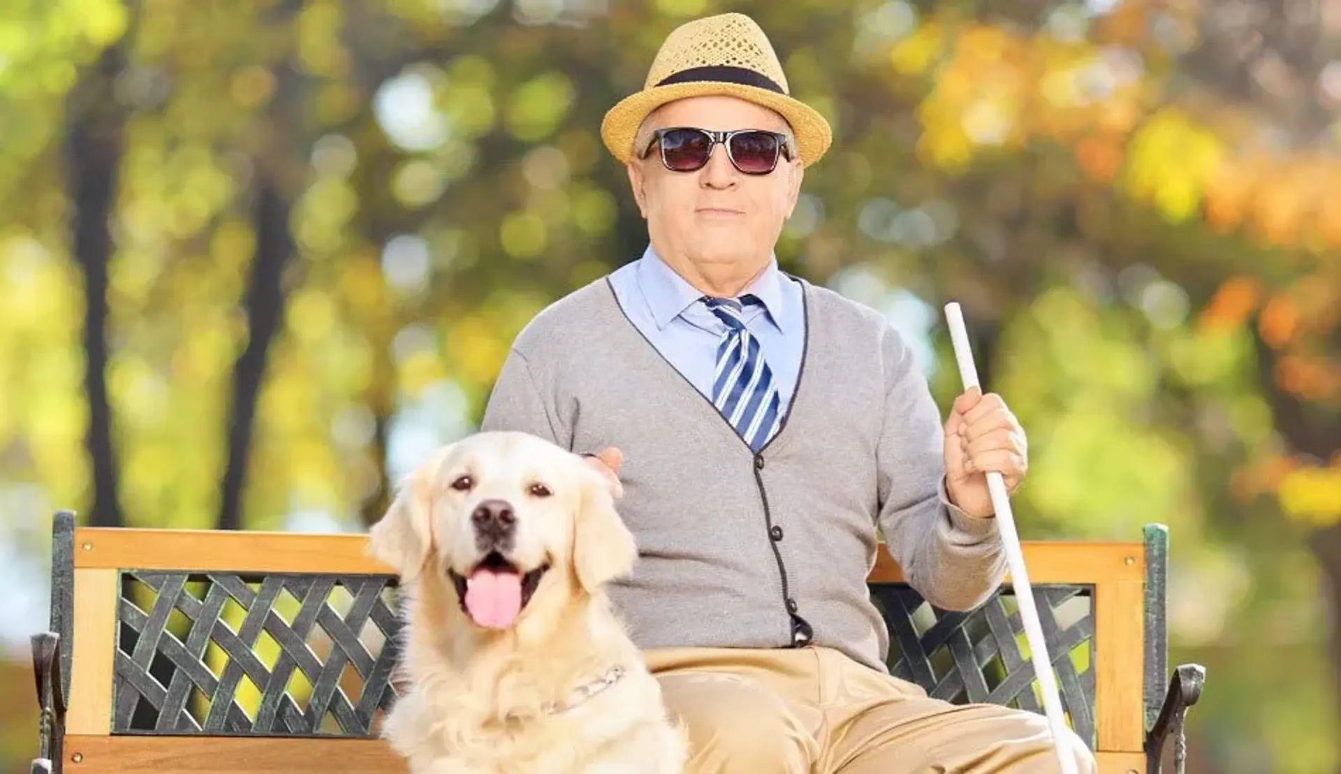 اختراع جدید اپل باعث حذف عصای سفید از دست نابینایان می شود