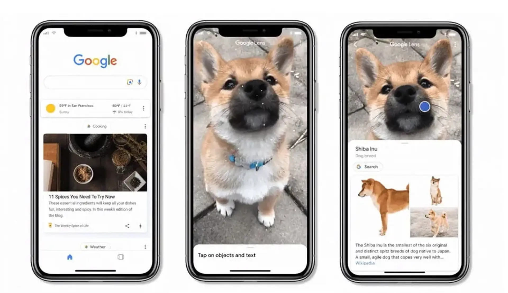 سرانجام گوگل لنز به برنامه جستجوی گوگل در iOS افزوده شد