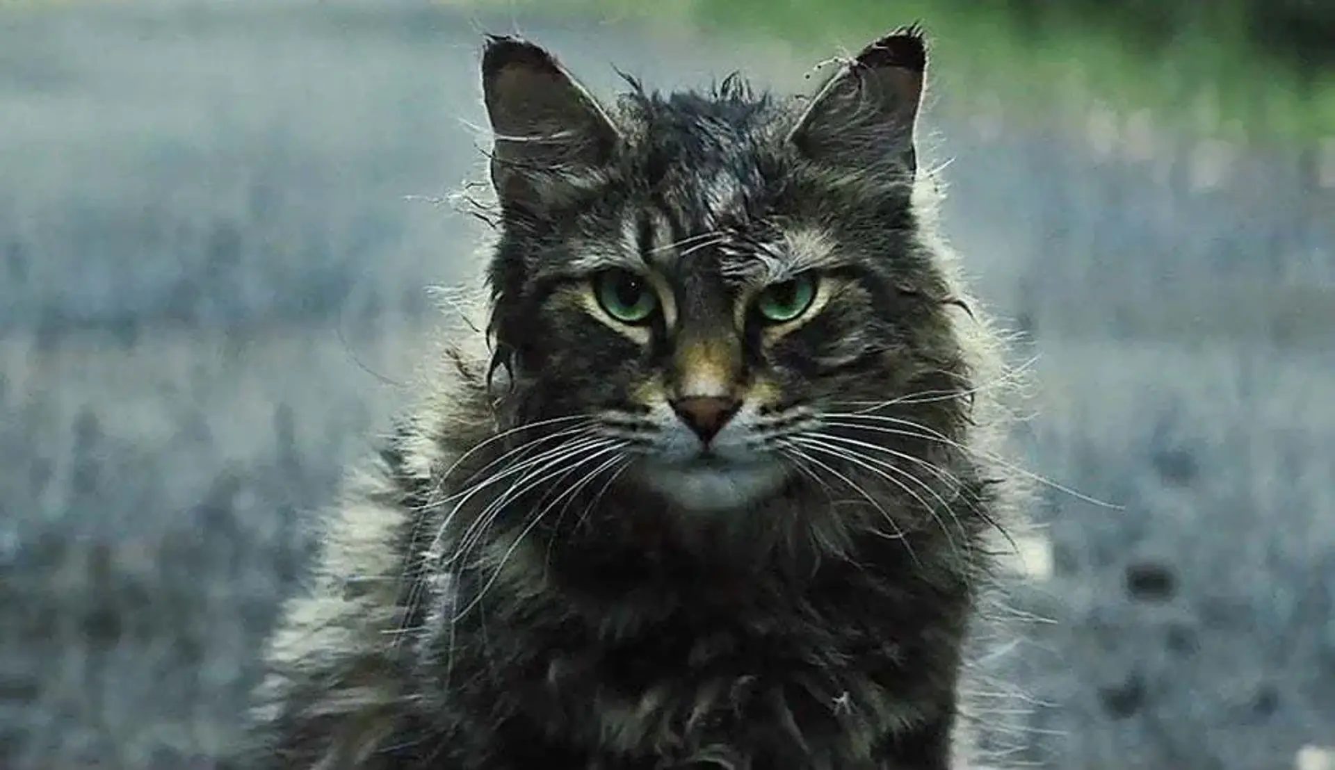 تریلر دوم فیلم ترسناک Pet Sematary منتشر شد