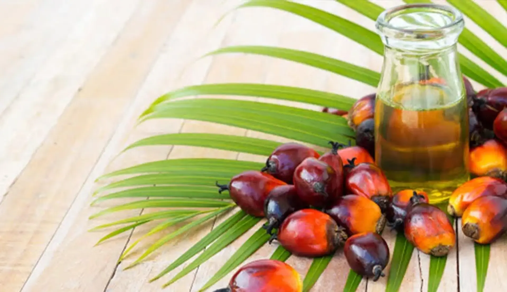 روغن پالم چیست ؟ آیا پالم برای بدن ضرر دارد؟