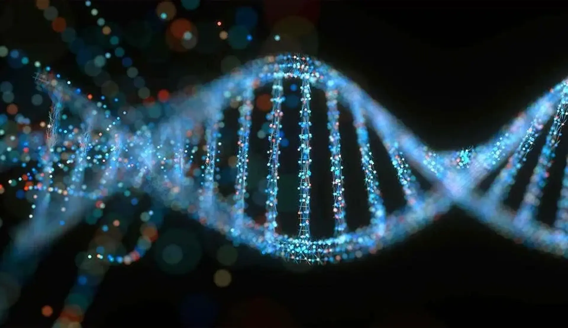 همه آنچه درباره دی ان ای (DNA) باید بدانید