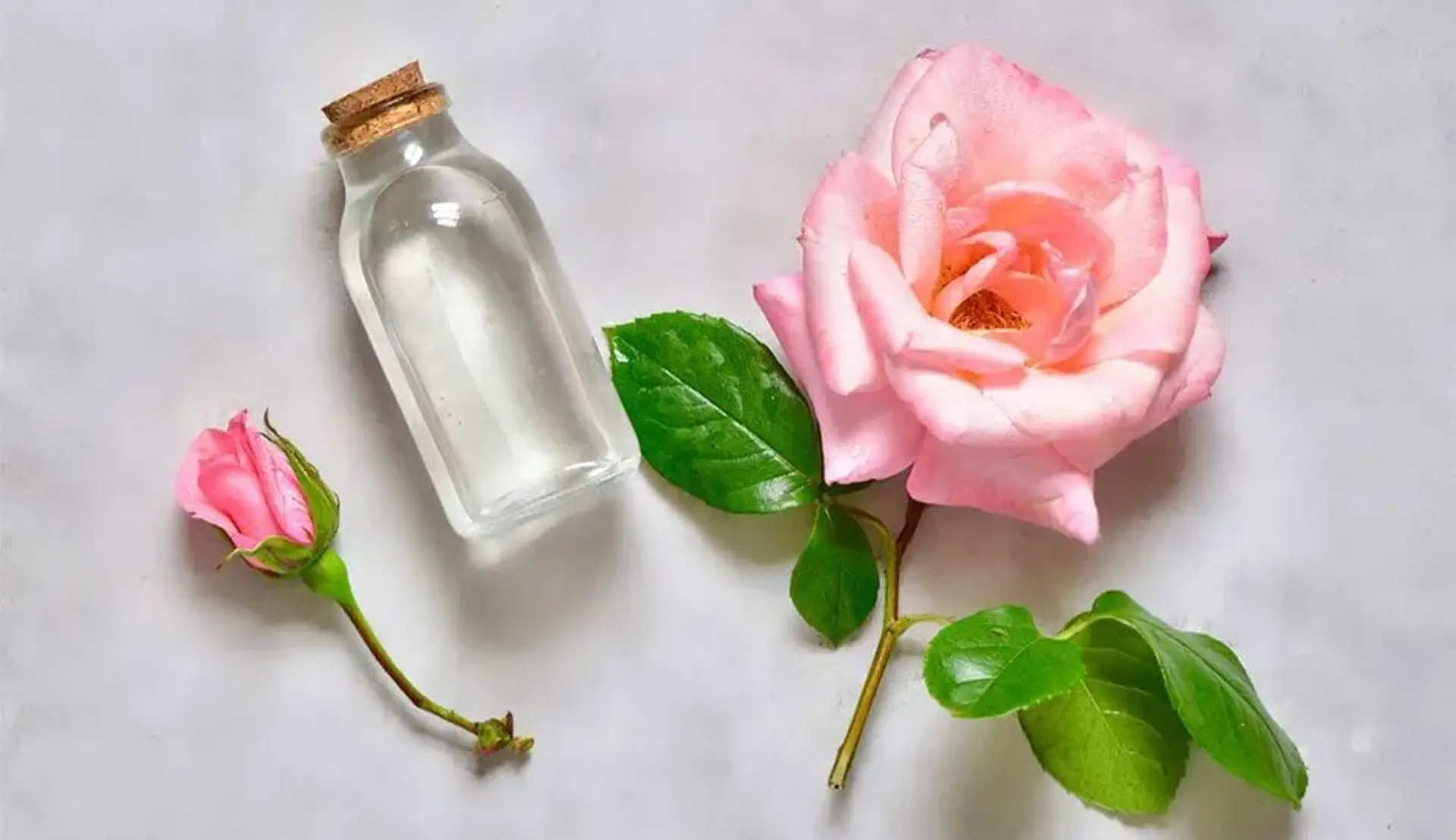 فواید گلاب برای پوست دست و صورت + طریقه استفاده