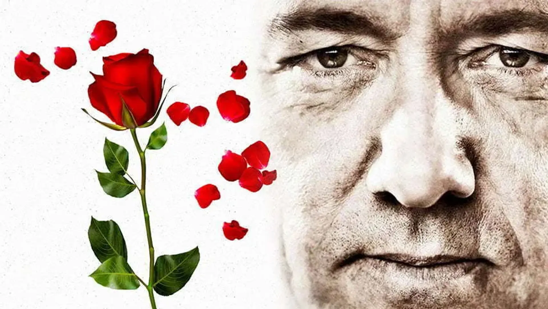 نگاهی به فیلم American Beauty ؛ برنده جایزه اسکار بهترین فیلم در سال 1999