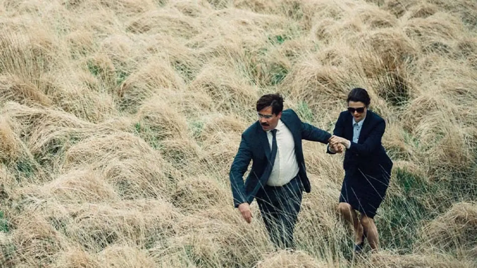 دانلود و بررسی فیلم The Lobster ؛ داستان، بازیگران و نمرات منتقدین