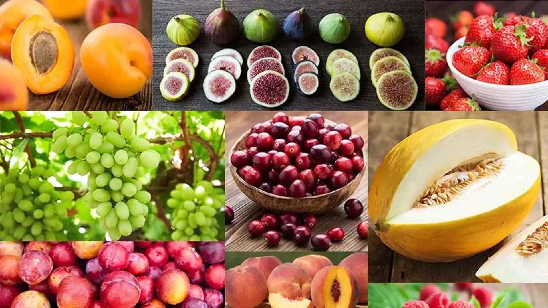 میوه های تابستانی را می شناسید؟ معرفی میوه‌ها و خواص آن‌ها