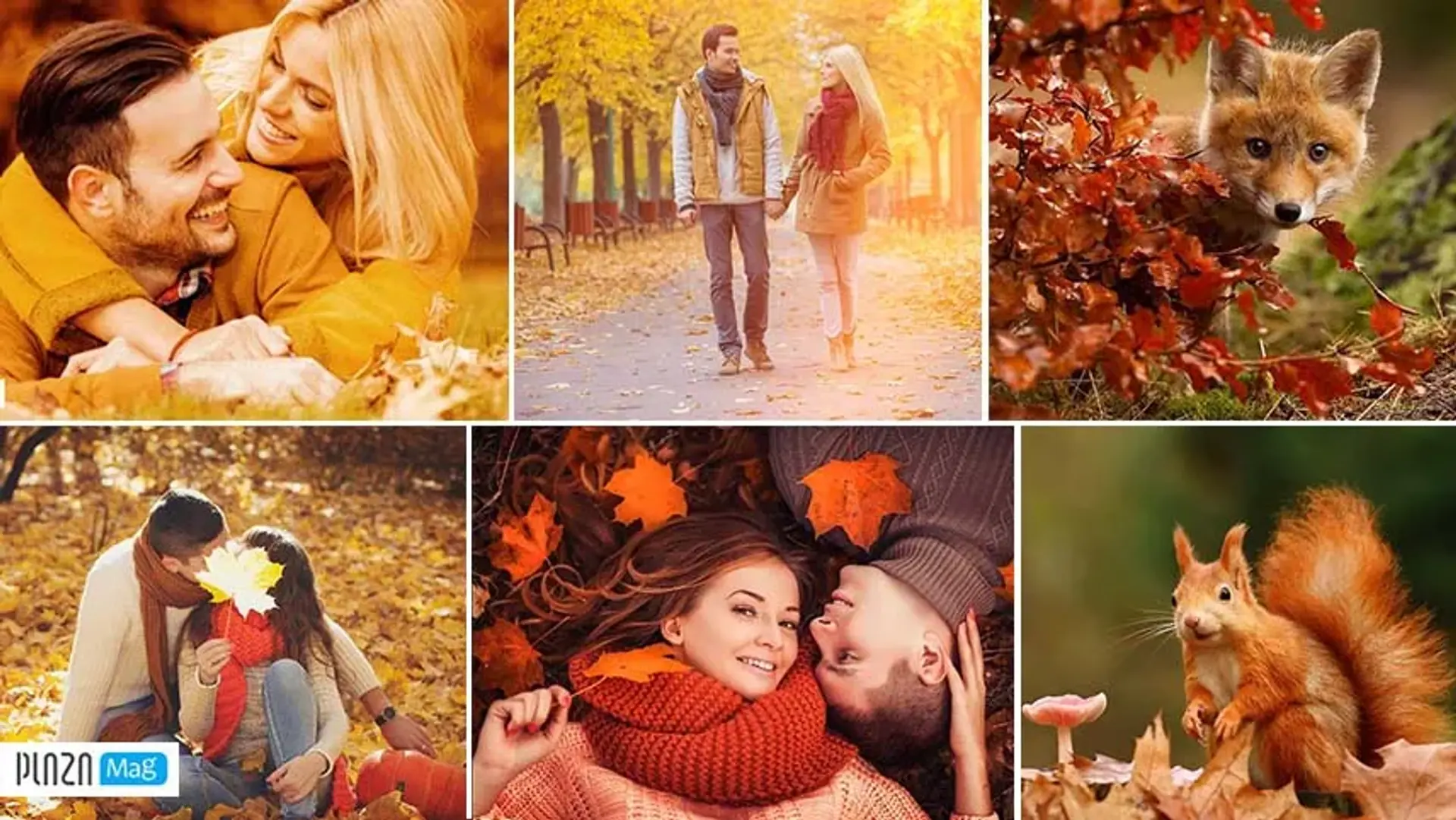 9 ایده شگفت انگیز برای عکاسی در فصل پاییز ؛ نارنجی‌ها و نارنگی‌ها!