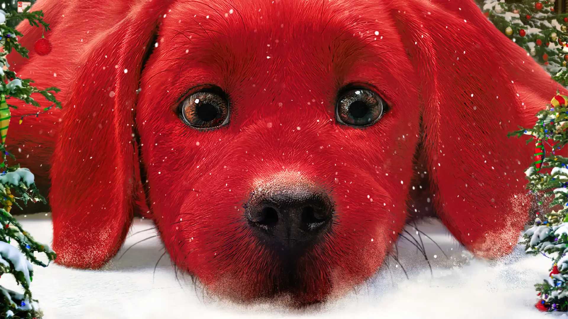دانلود و معرفی انیمیشن Clifford the Big Red Dog | کلیفورد سگ بزرگ قرمز