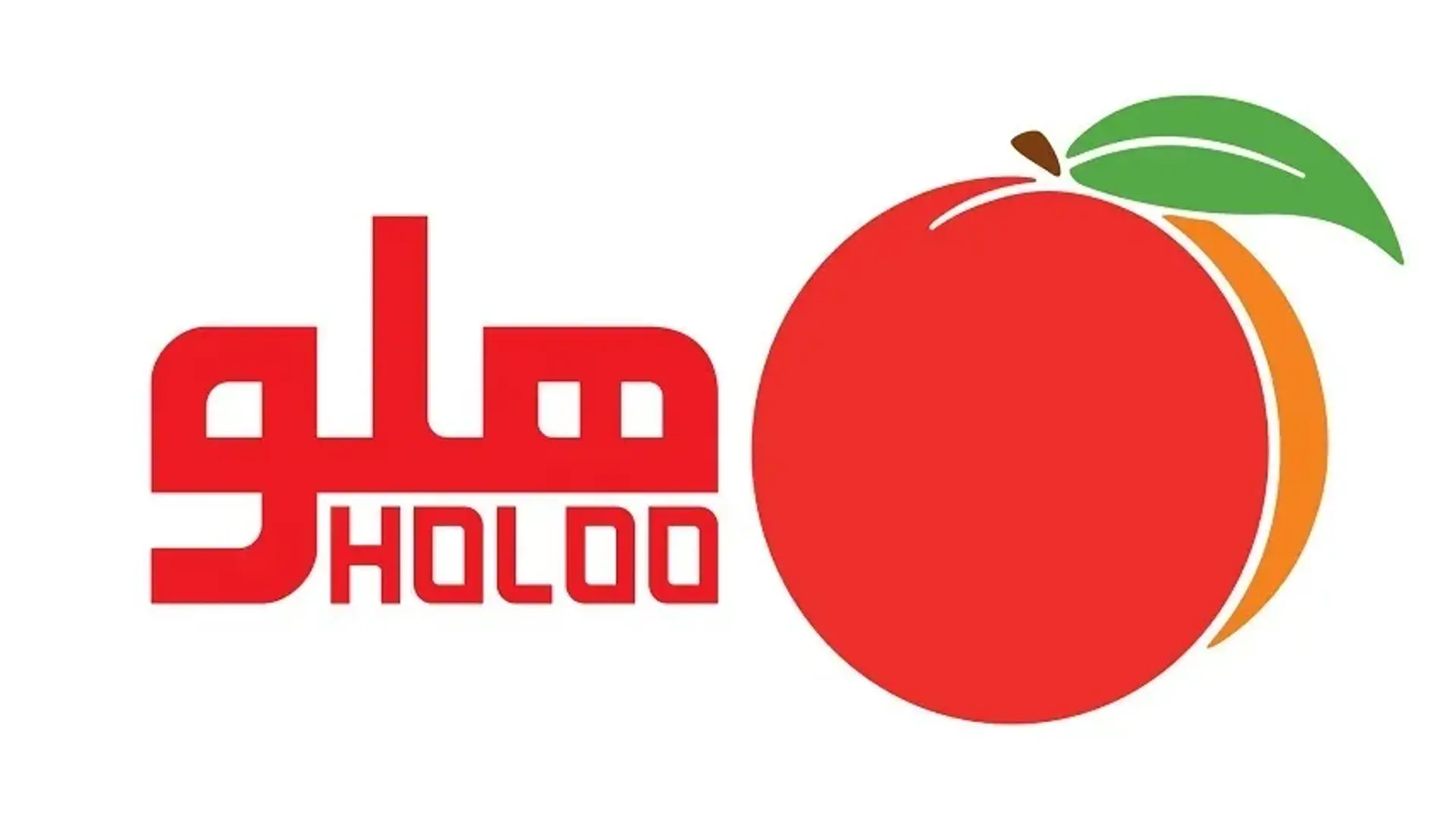 مزایا و معایب نرم افزار هلو — معرفی 4 مشکل رایج از برنامه حسابداری Holoo + راه حل
