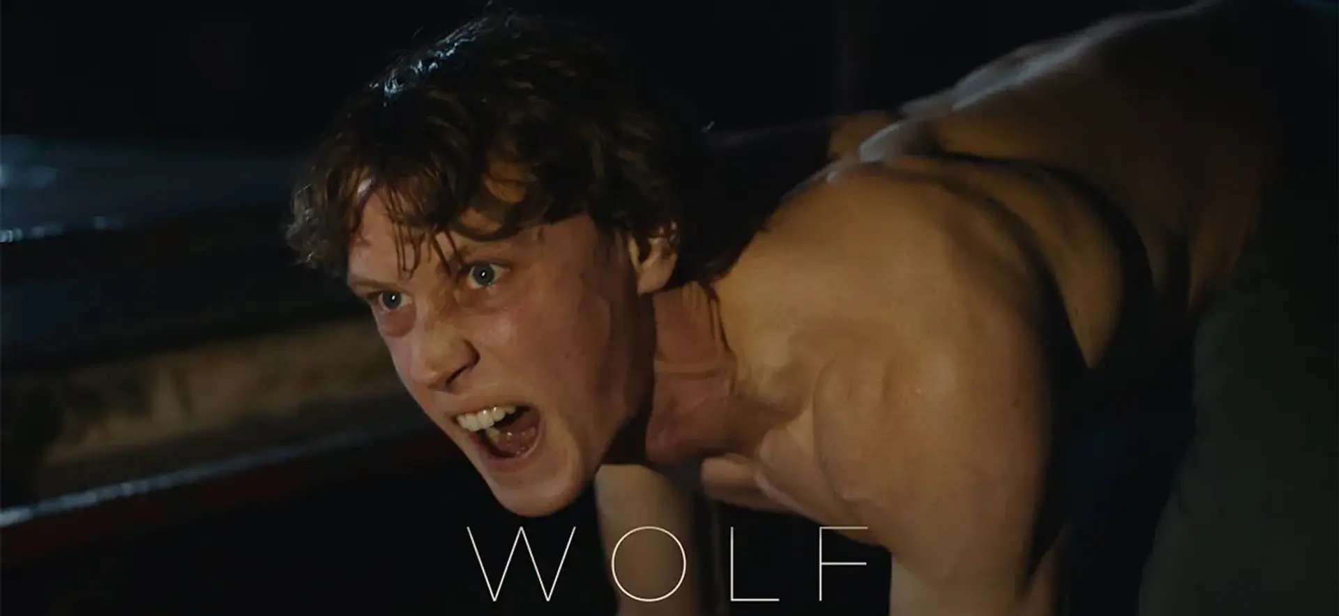 معرفی فیلم Wolf 2021 (گرگ) ؛ داستان، بازیگران و نمرات منتقدین