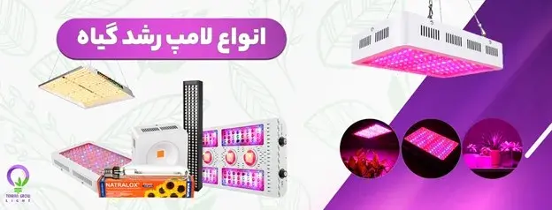 لامپ رشد گیاه چیست؟