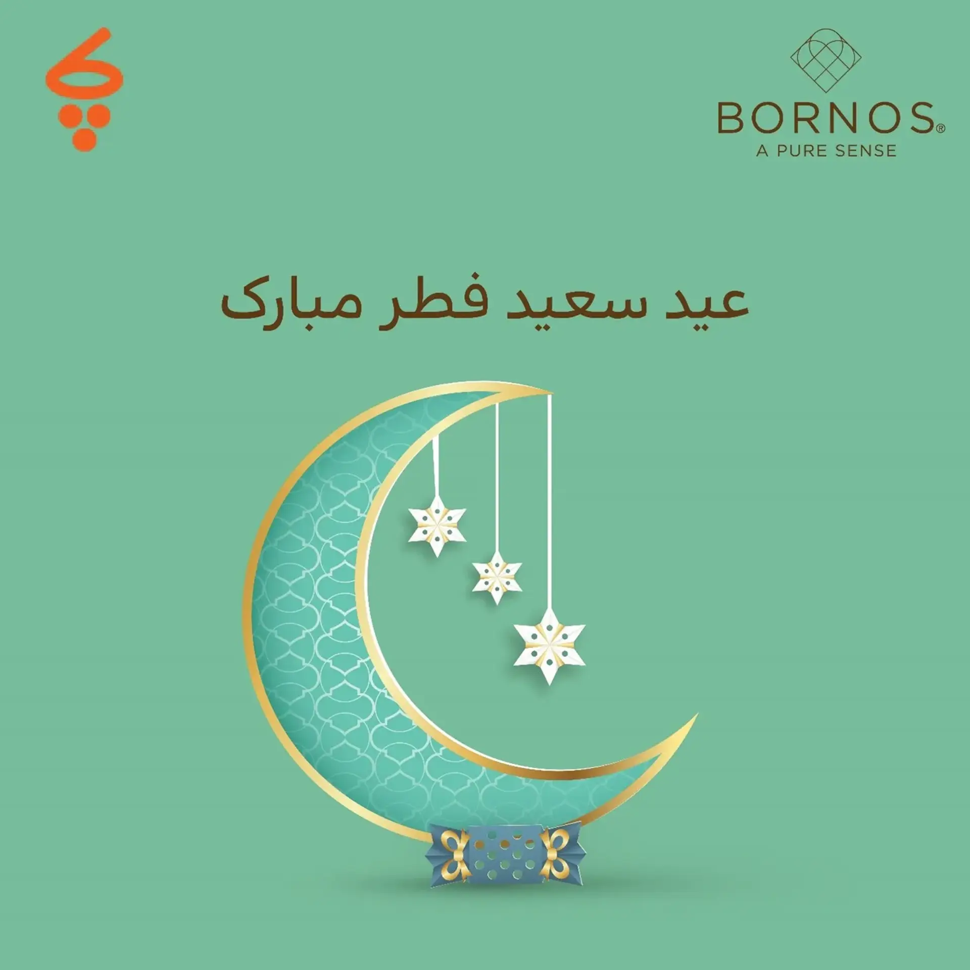 برای اولین بار در ایران فروش سازمانی لباس زنانه