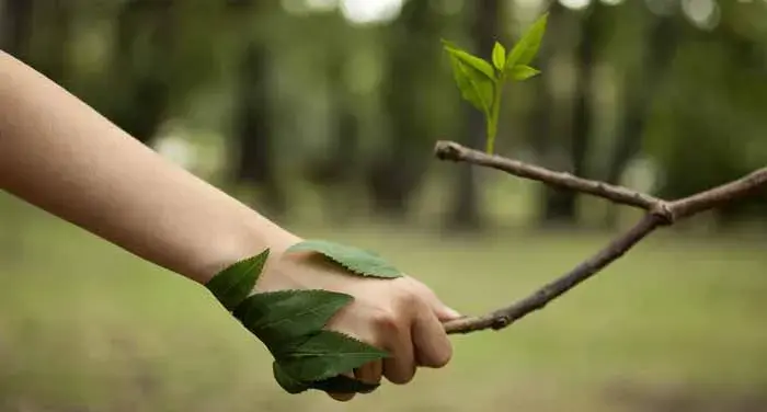 چطور زندگی سازگار با طبیعت داشته باشیم؟