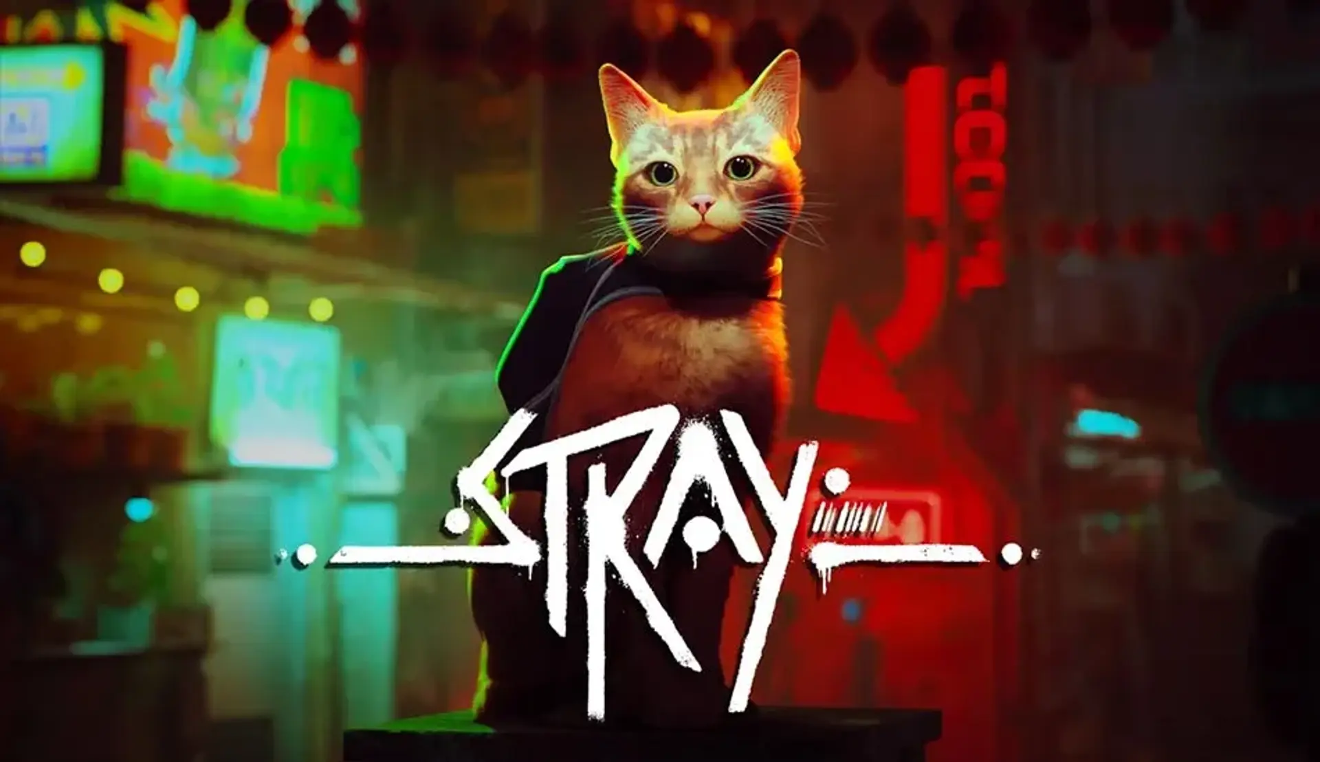 بررسی بازی Stray؛ همراه شدن با ولگردی یک گربه