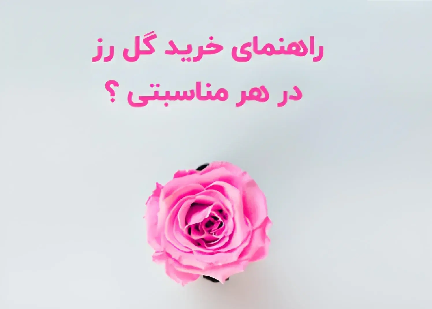 راهنمای خرید گل رز در هر مناسبتی ؟