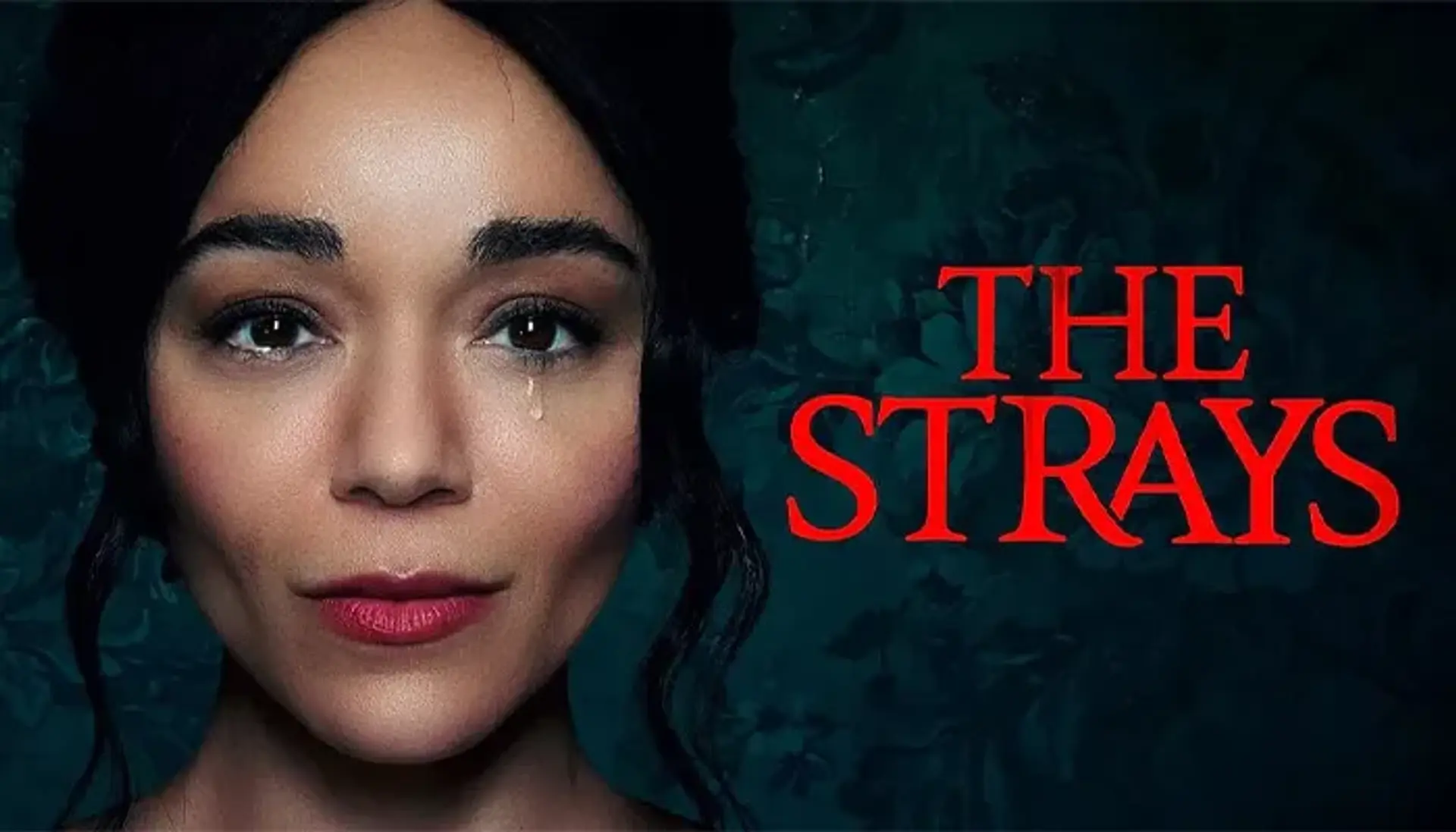 معرفی فیلم ولگردها ۲۰۲۳ (The Strays) ؛ داستان، بازیگران و نمرات