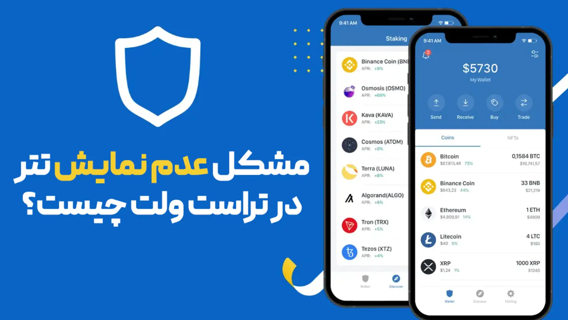 مشکل عدم نمایش تتر در تراست ولت چیست؟ + اموزش تصویری