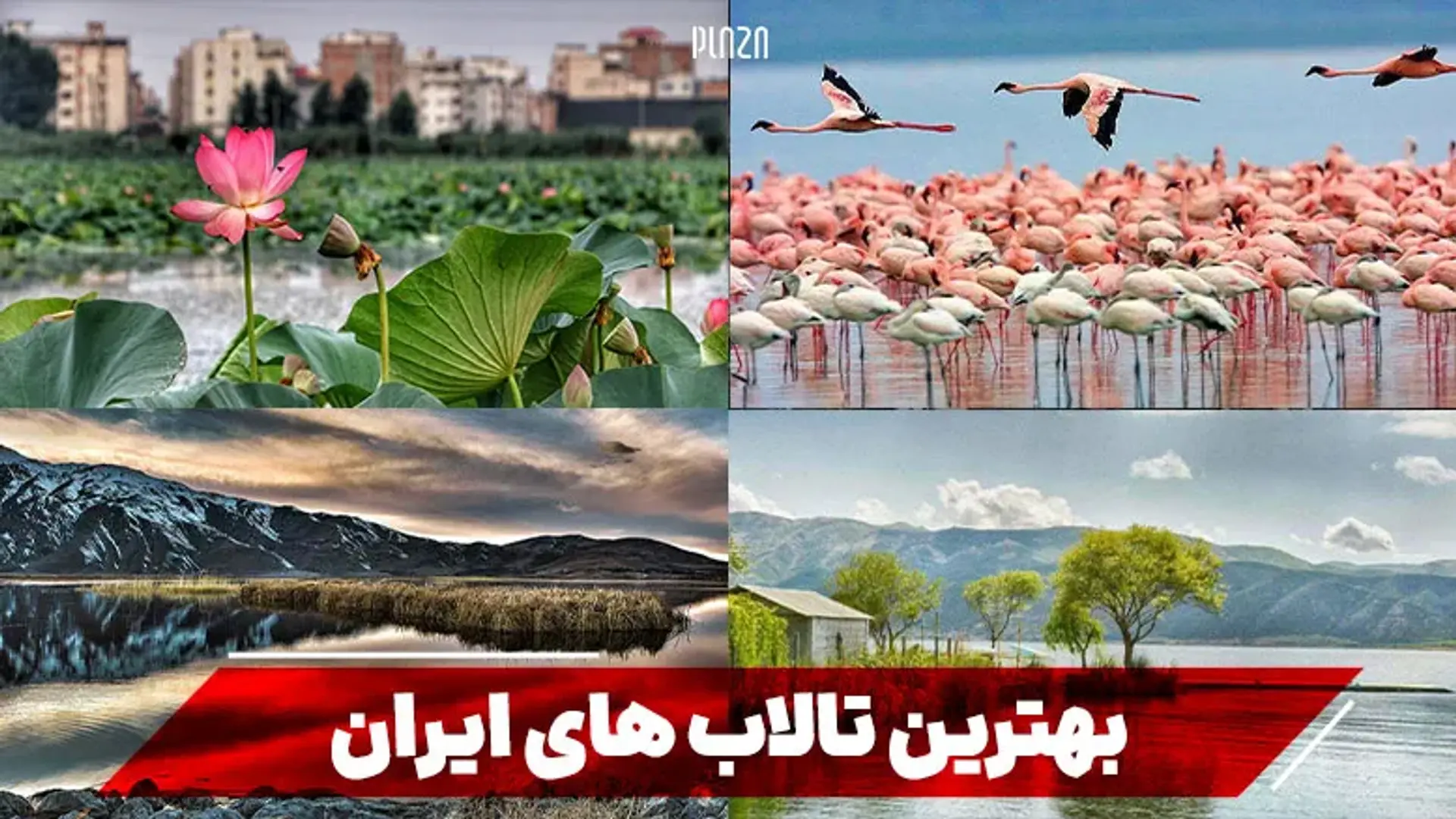 بهترین تالاب های ایران | معرفی 15 مورد از زیباترین تالابهای ایران