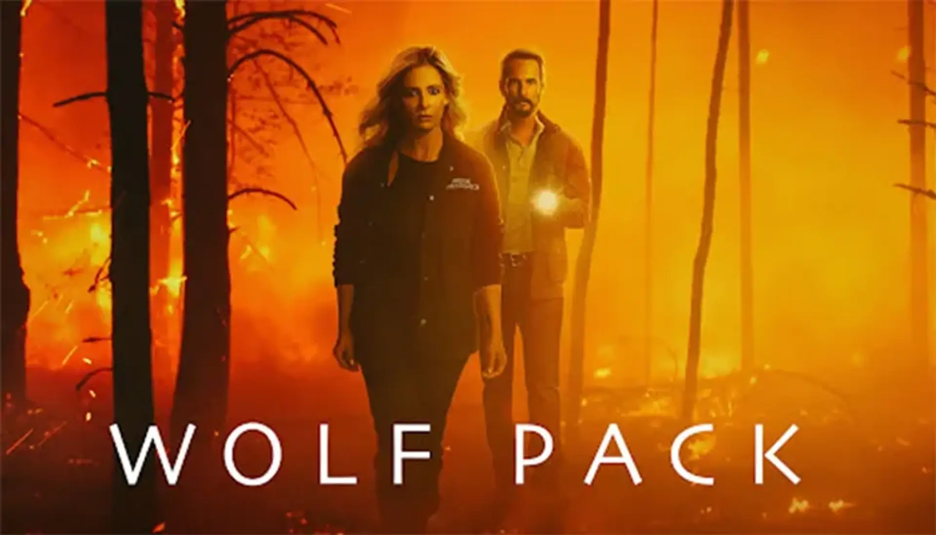 معرفی سریال Wolf Pack 2023 (گله گرگ) ؛ داستان، بازیگران و نمرات