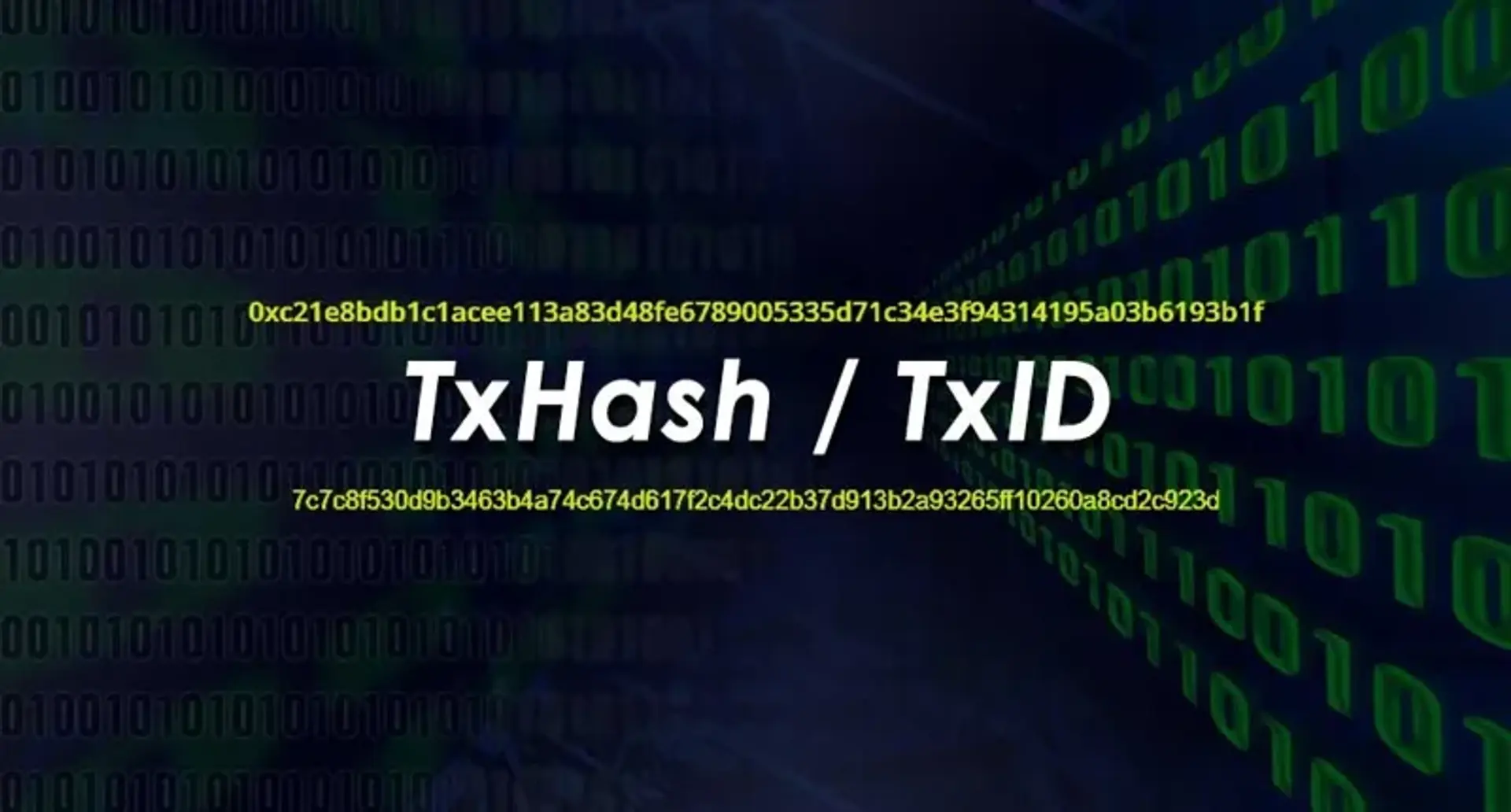 TXID یا شناسه تراکنش چیست؟