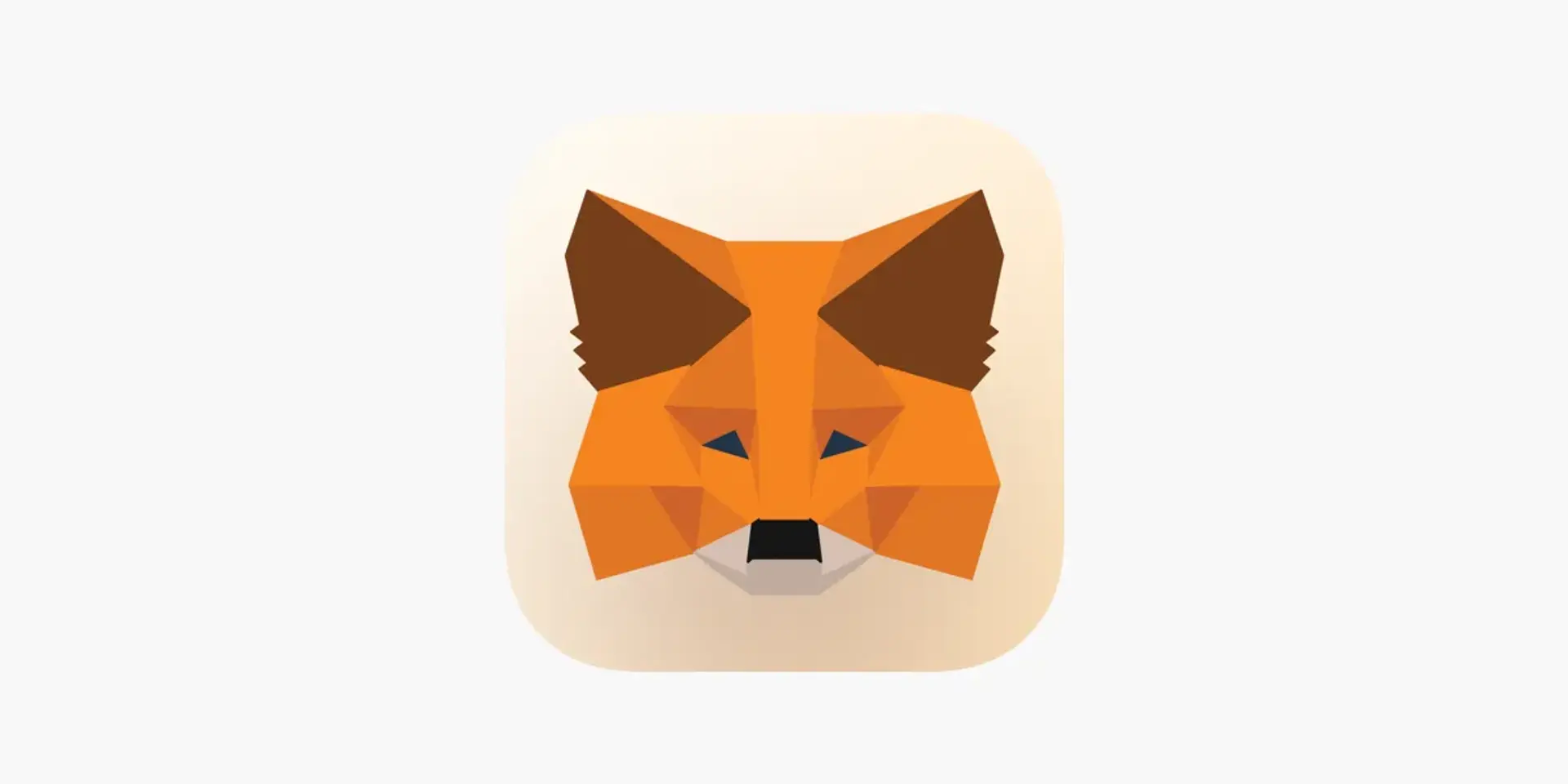 آموزش راه اندازی کیف پول MetaMask + آموزش تصویری