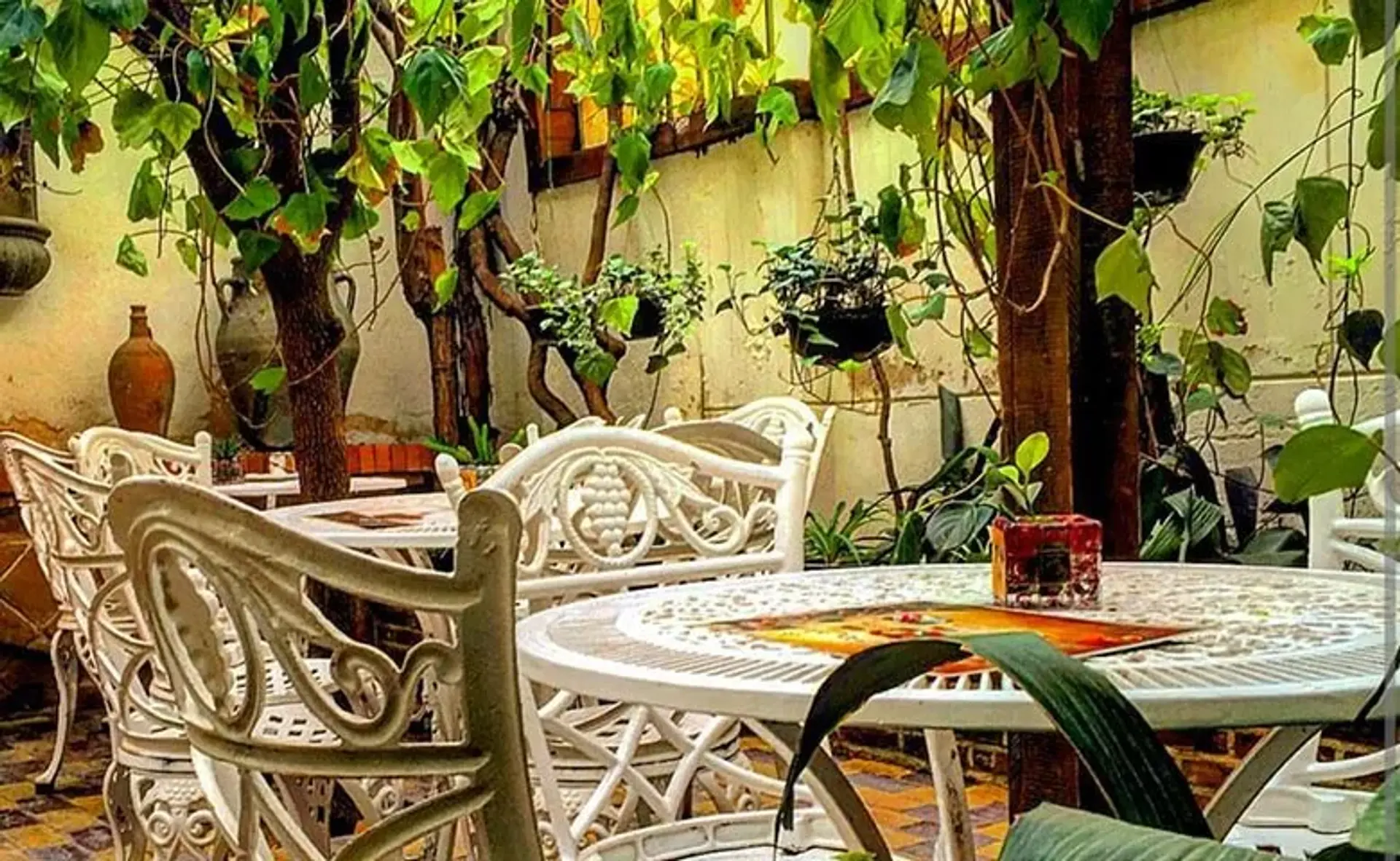 شکم‌گردی در بهترین رستوران‌ها و کافه‌های تهران