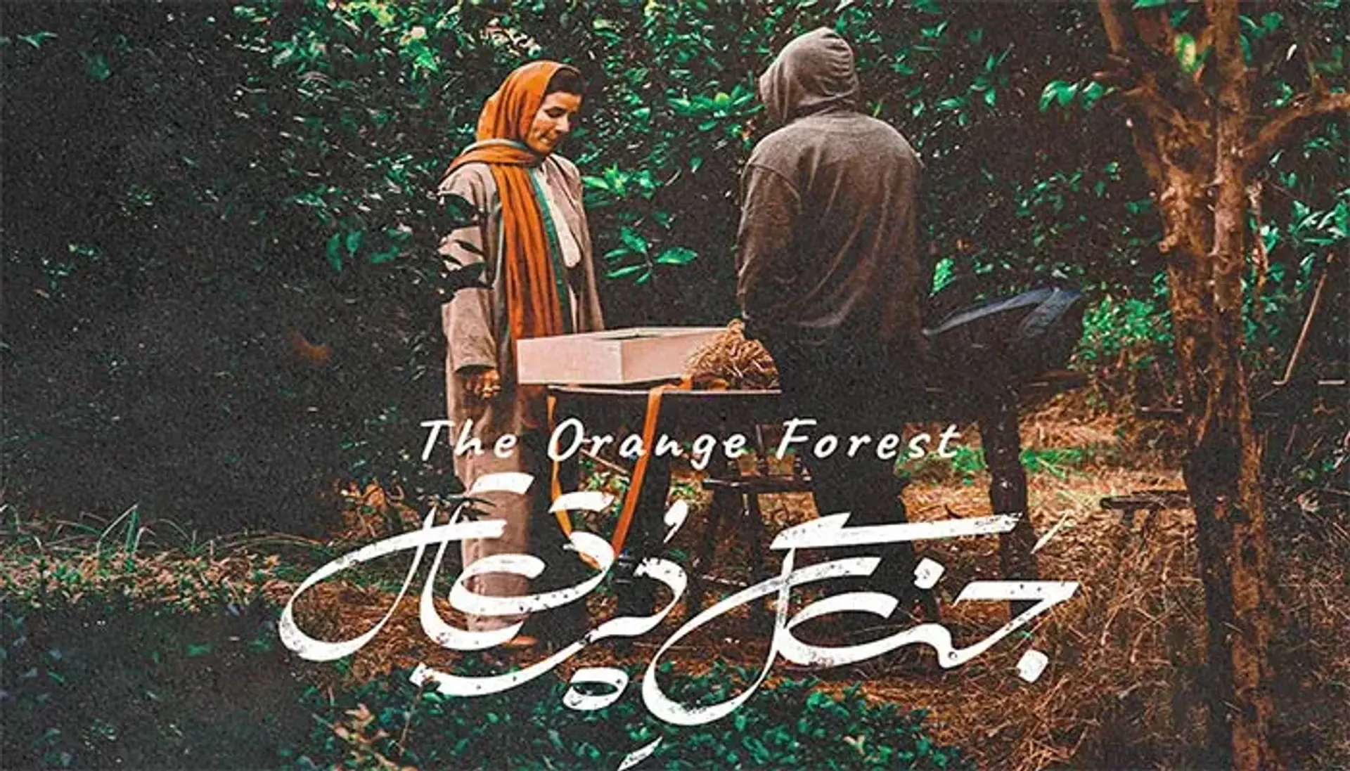 معرفی فیلم جنگل پرتقال | داستان، بازیگران و نمرات