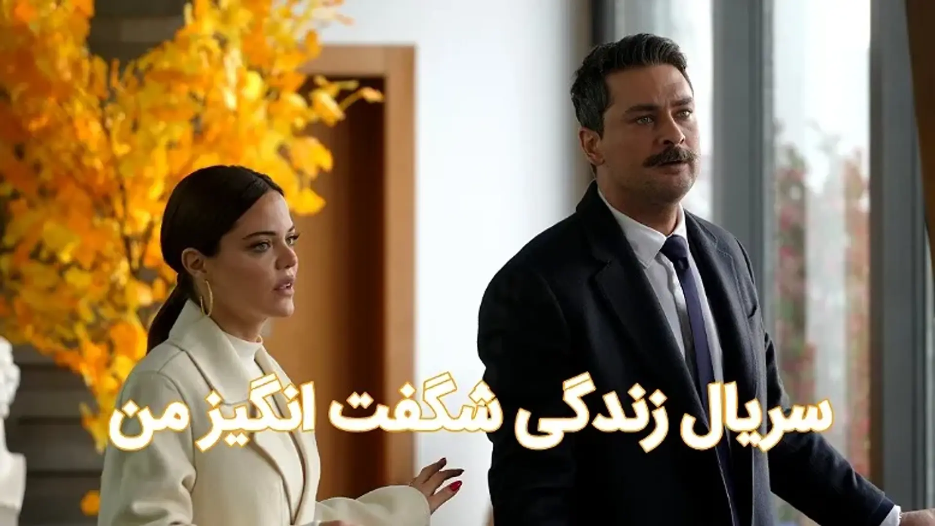 معرفی و بررسی سریال زندگی شگفت انگیز من