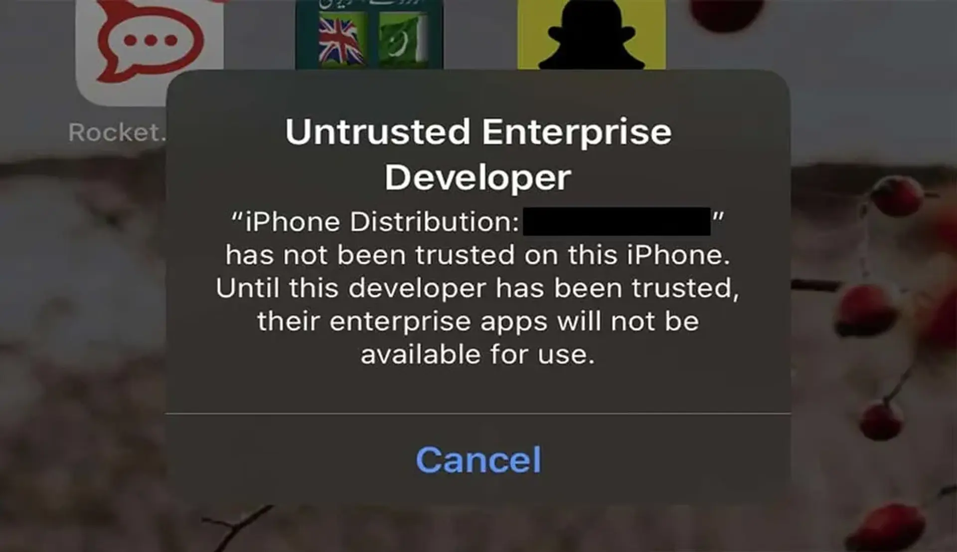 نحوه رفع خطای Untrusted Developer در آیفون برای نصب برنامه