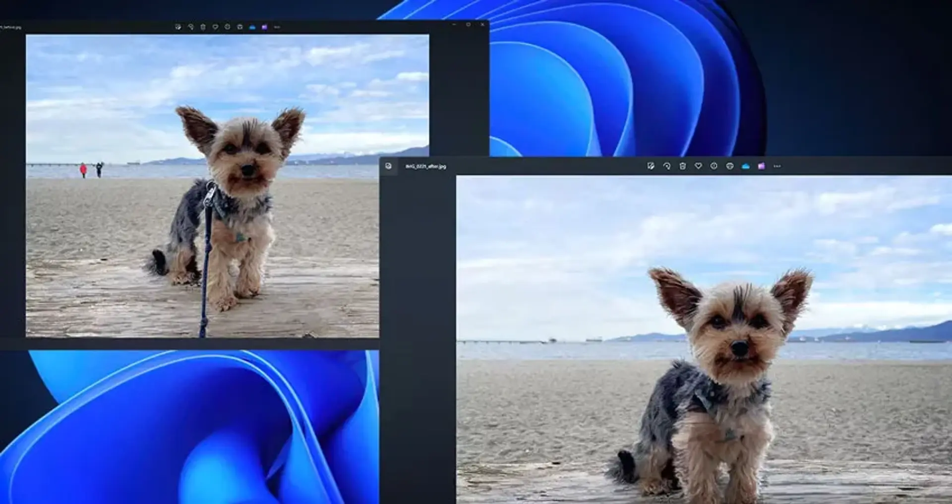 آموزش استفاده از Generative Erase برای حذف اشیاء از تصویر در ویندوز