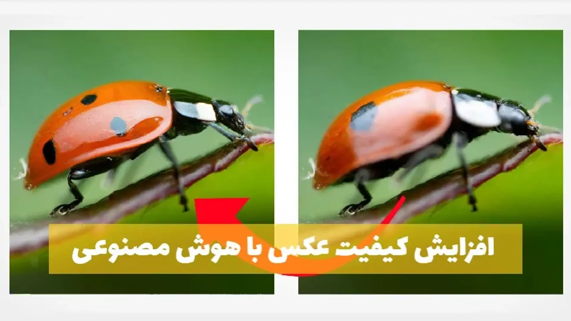 آموزش بالا بردن کیفیت عکس با هوش مصنوعی بصورت آنلاین