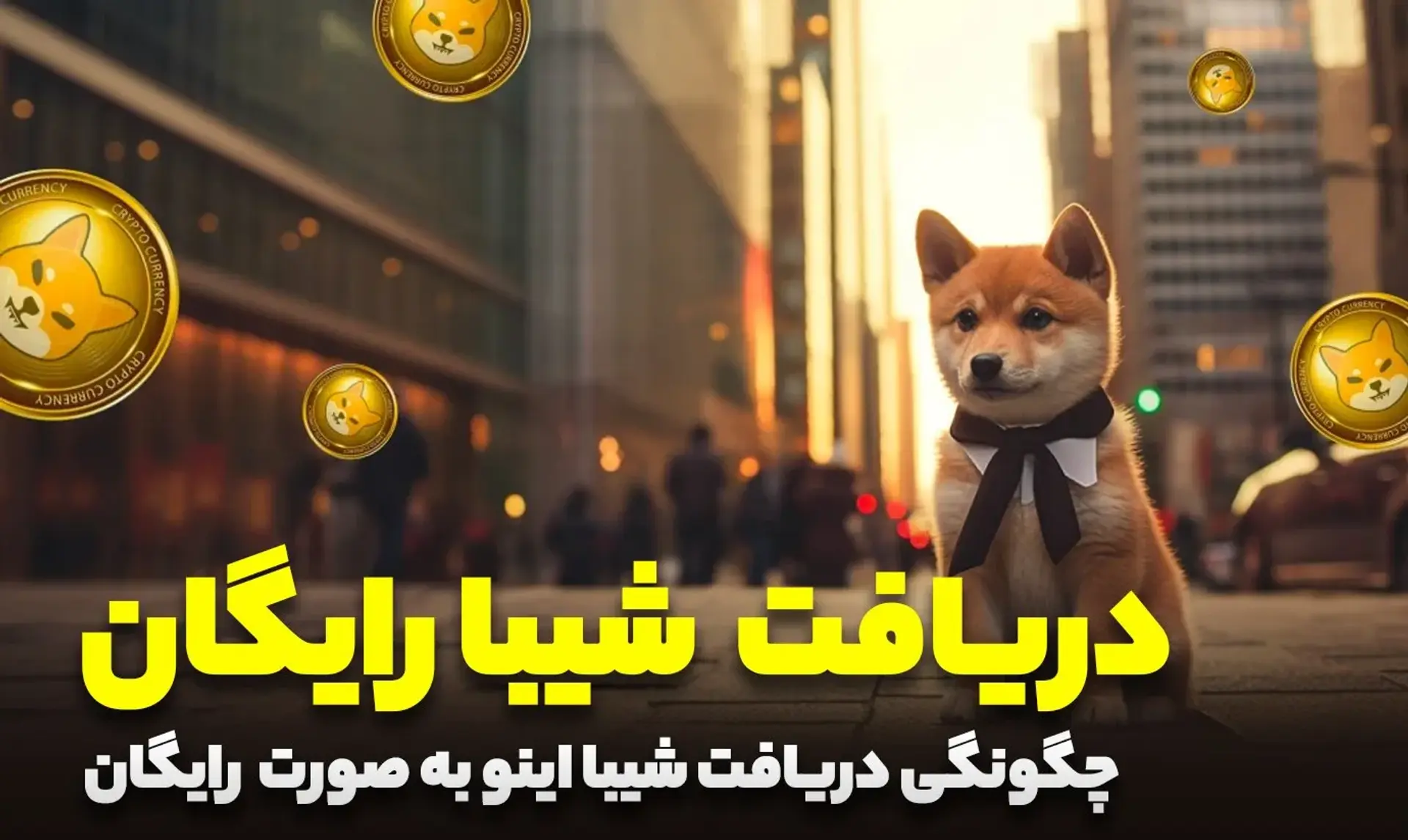چگونه شیبا رایگان بگیریم؟