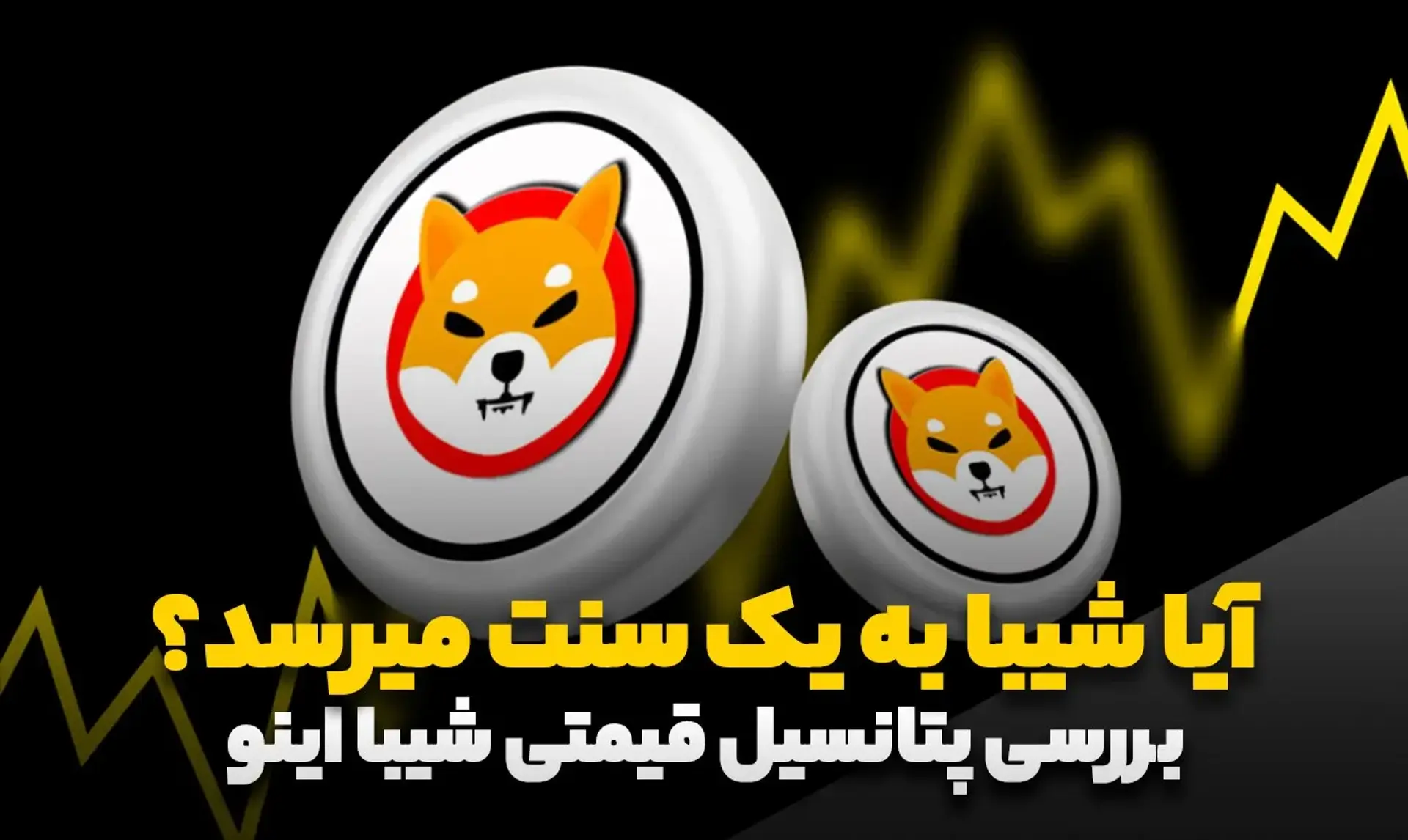 آیا شیبا به یک سنت میرسد؟