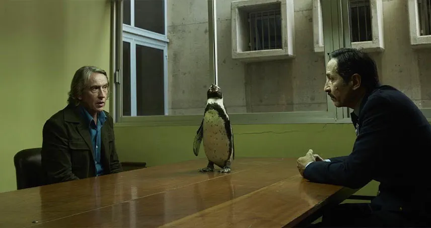 بررسی فیلم The Penguin Lessons 2024 / معرفی فیلم سینمایی درس های پنگوئن