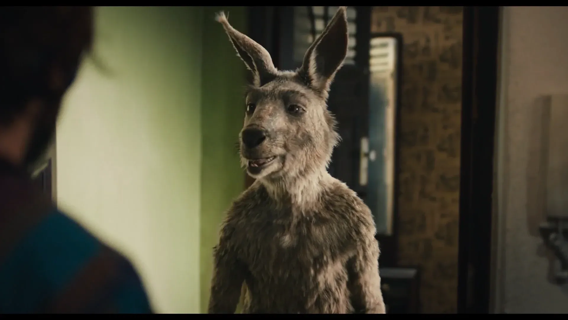 جلوه های ویژه سرگذشت کانگورو ۲۰۲۰ The Kangaroo Chronicles 