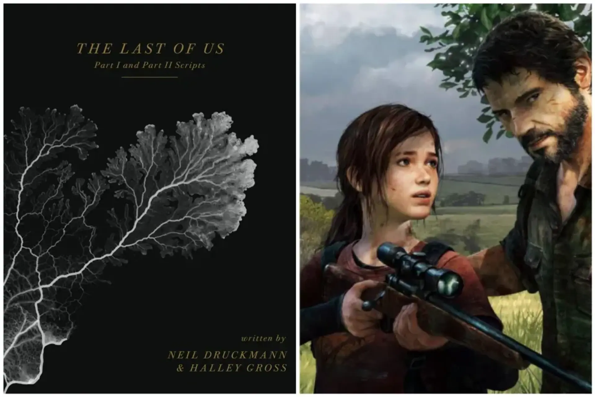 انتشار کتاب فیلمنامه‌های The Last of Us 