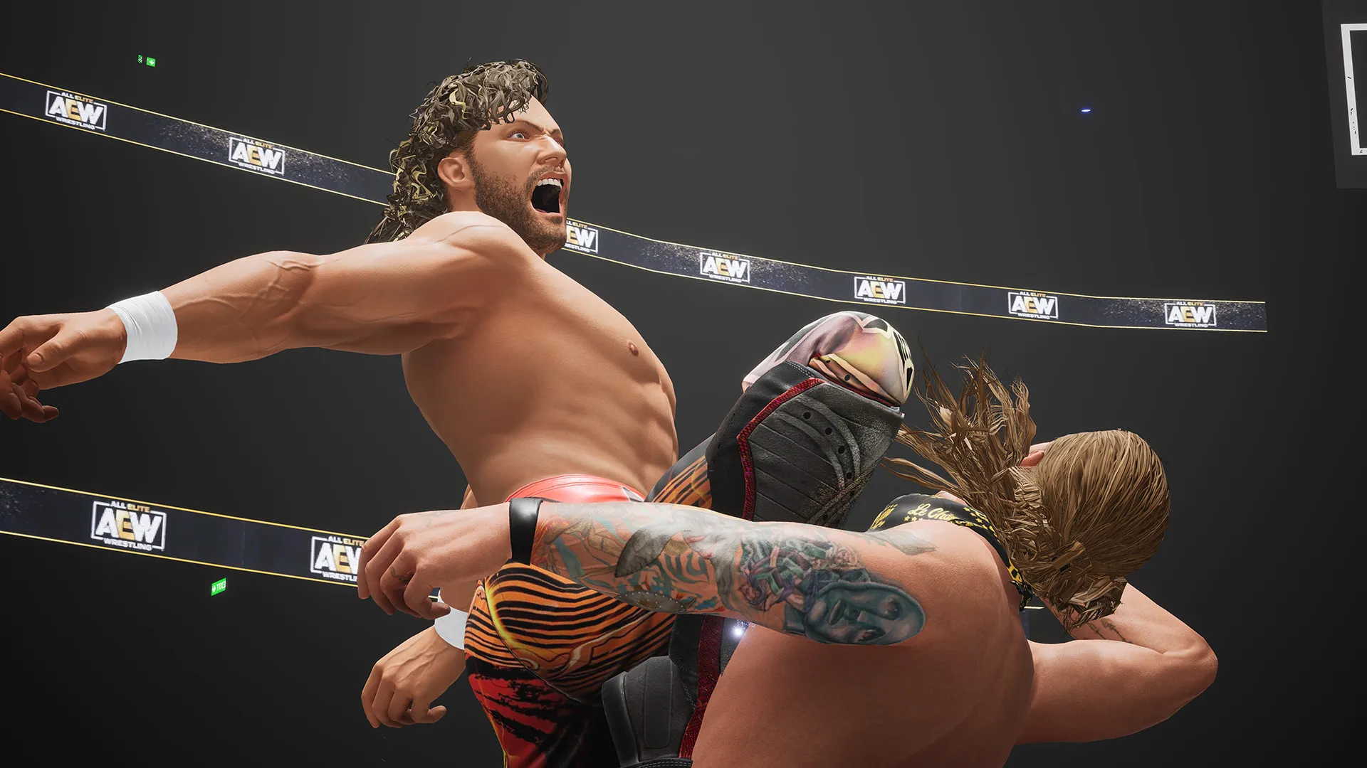 12. بازی AEW: Fight Forever