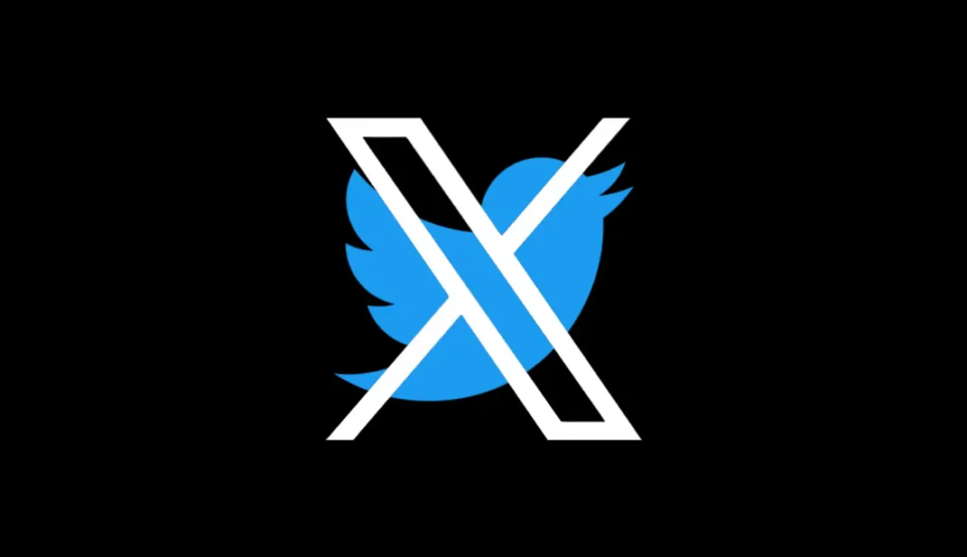 توییتر | ایکس (X - twitter)