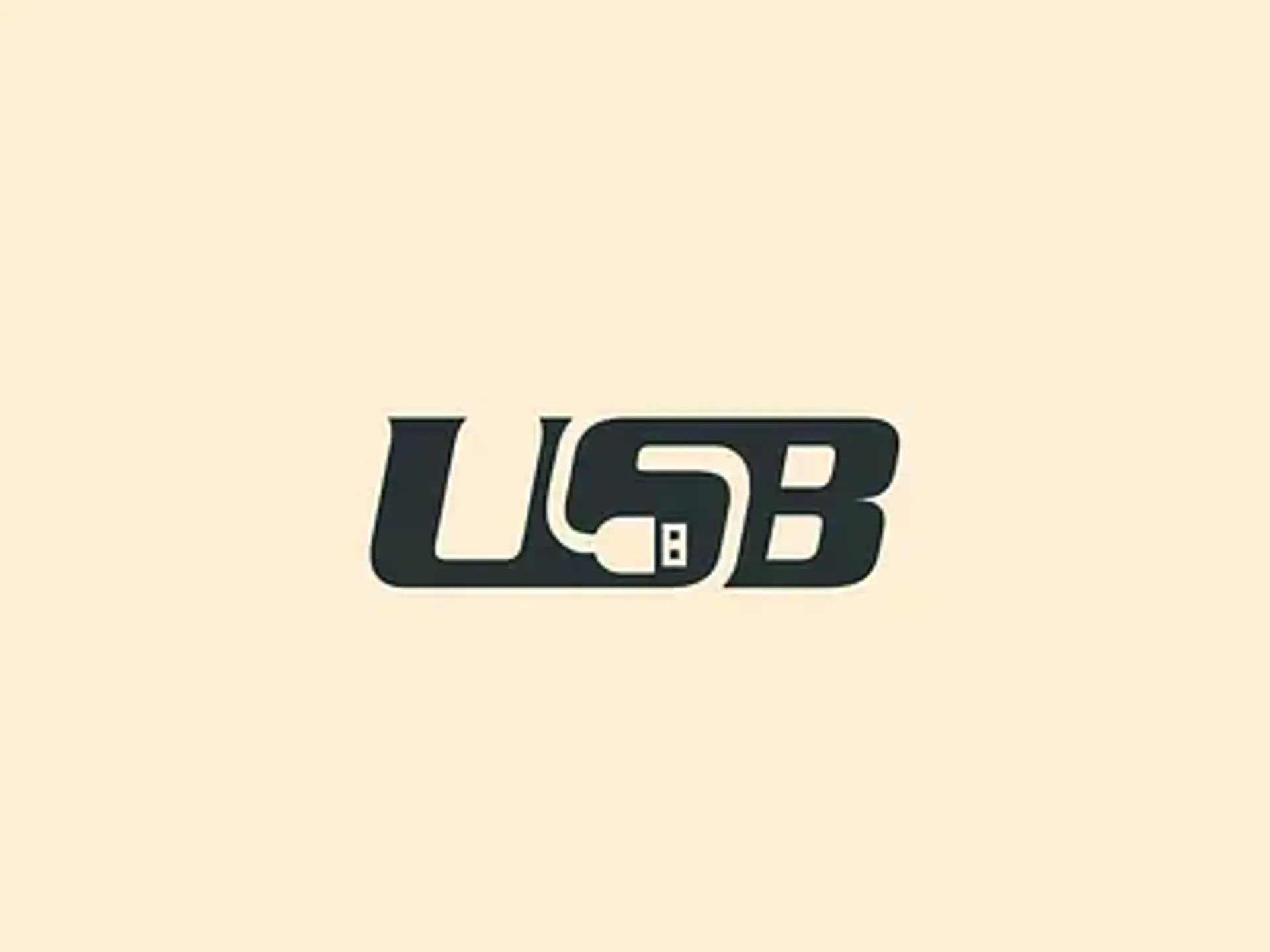 یواس‌بی (USB)