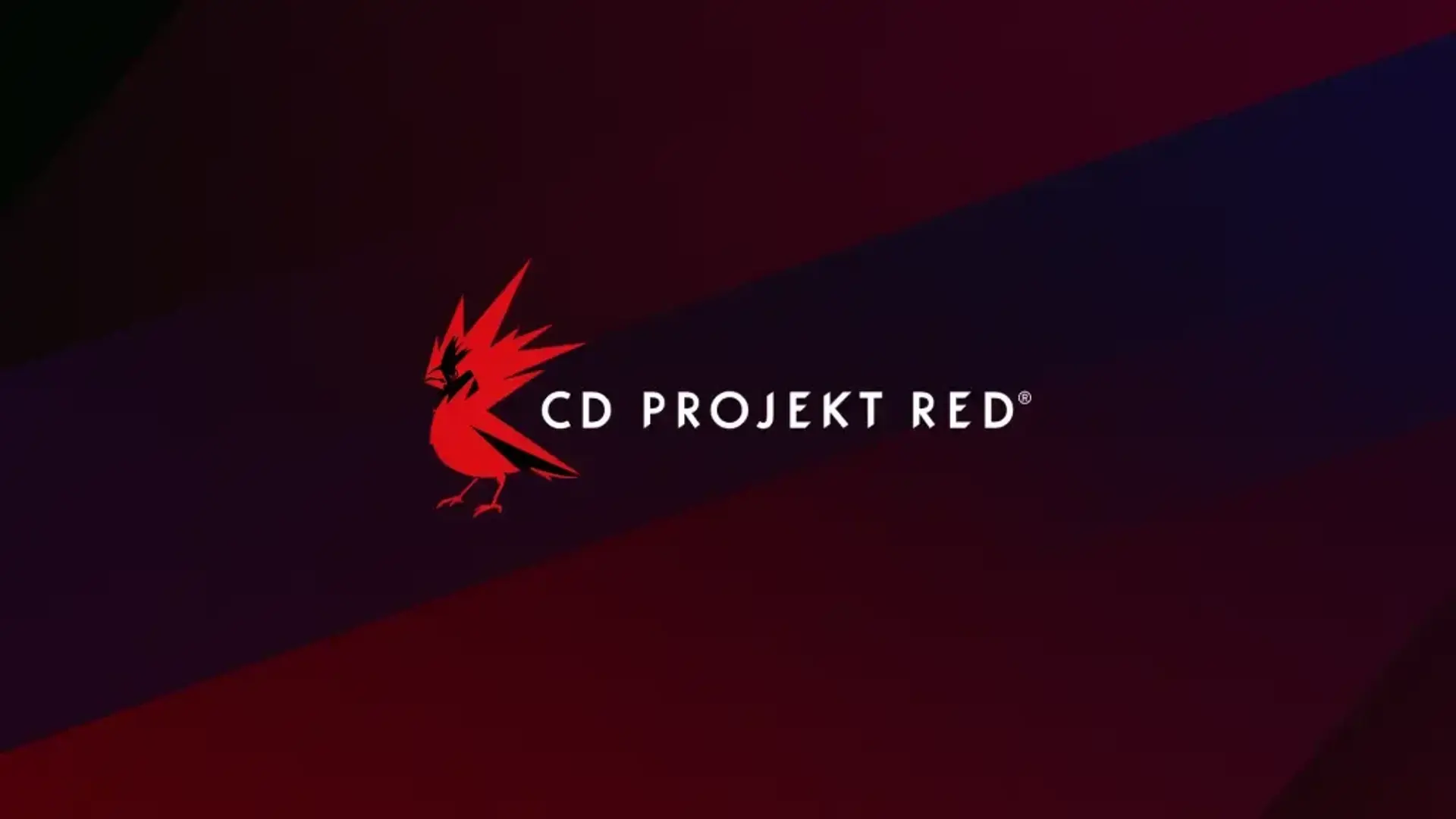 سی‌دی پراجکت رد (CD Projekt Red)