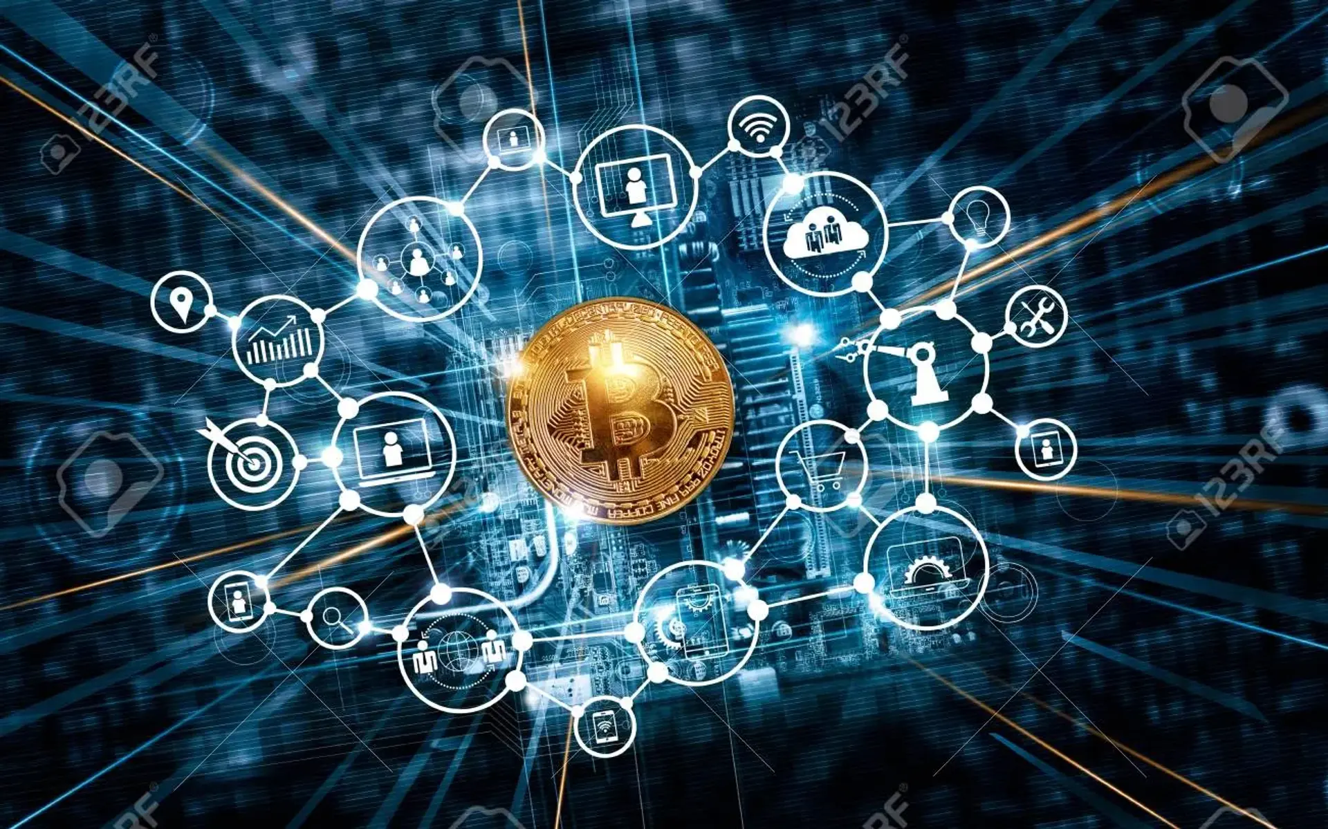 شبکه ارز دیجیتال (Cryptocurrency Network)