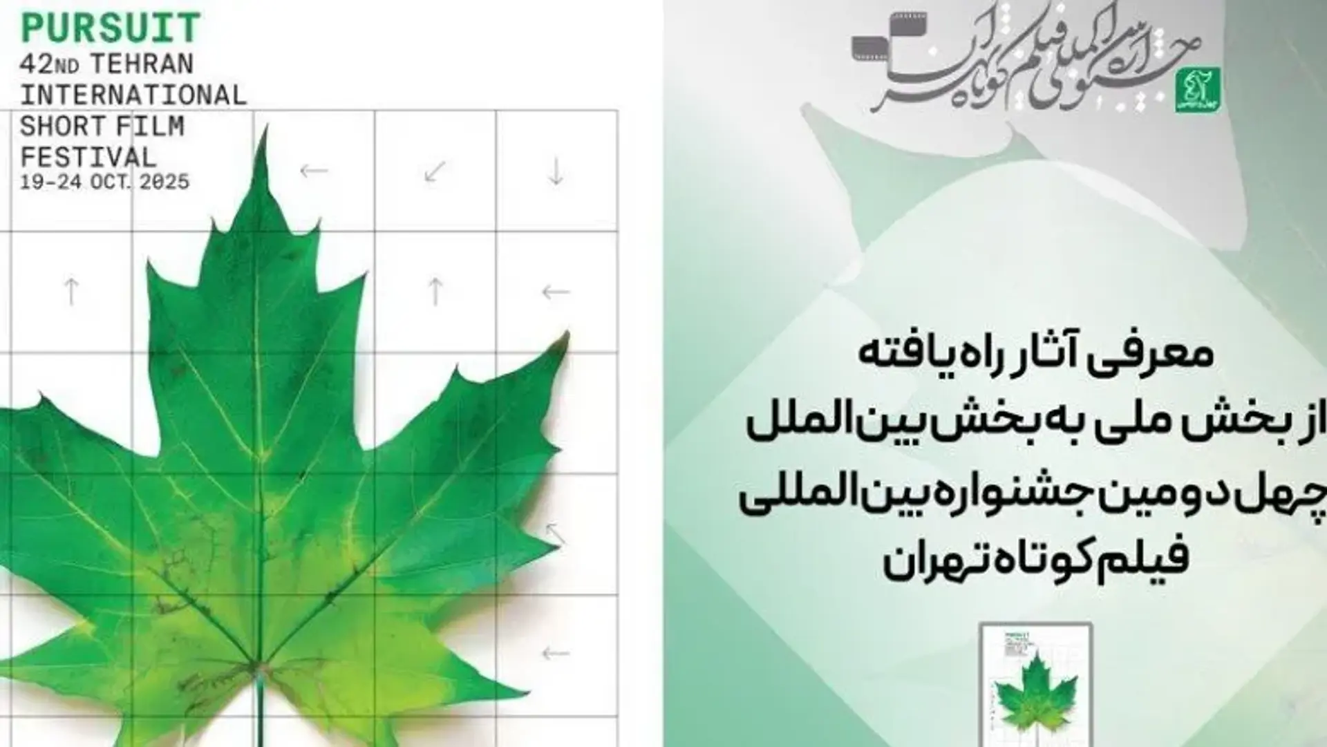 جشنواره فیلم کوتاه تهران ۱۴۰۴؛ معرفی آثار ملی راه‌یافته به بخش بین‌الملل