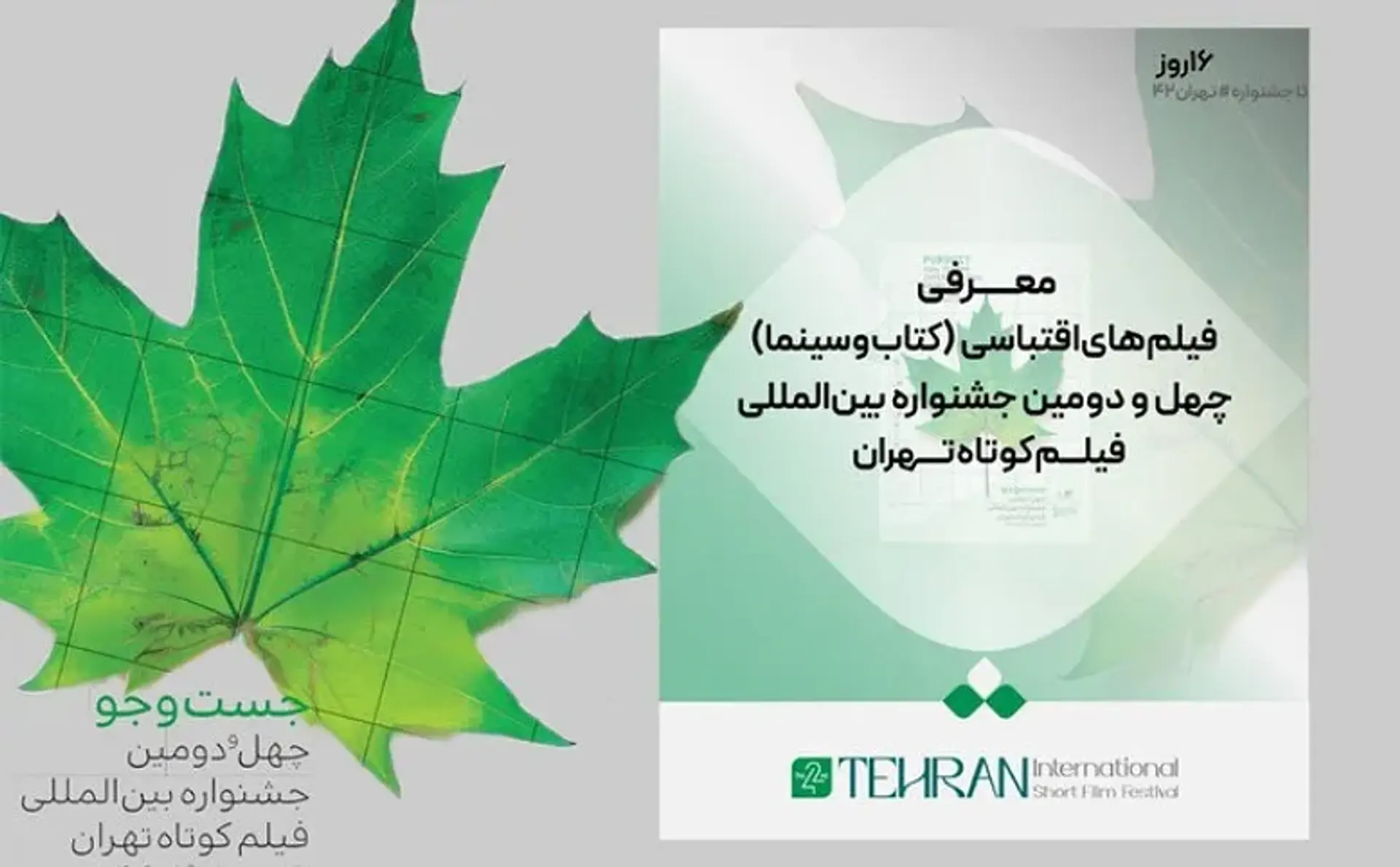۳۵ فیلم اقتباسی در جشنواره بین‌المللی فیلم کوتاه تهران معرفی شدند