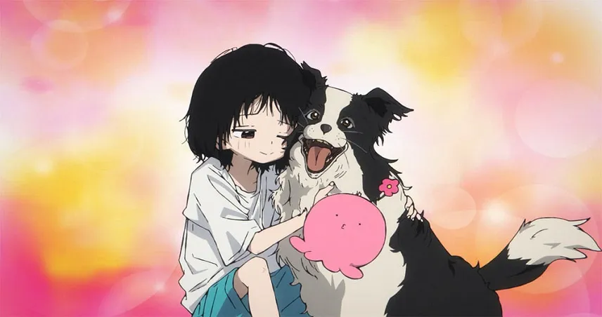 تعداد قسمت های انیمه Takopi's Original Sin