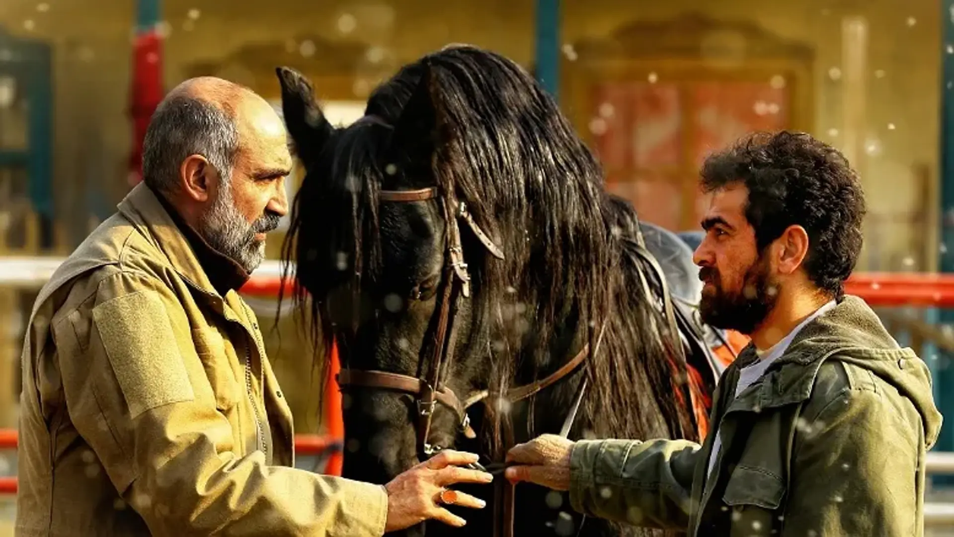 فروش ۲۰ میلیاردی «ناتوردشت» در گیشه پاییز ۱۴۰۴