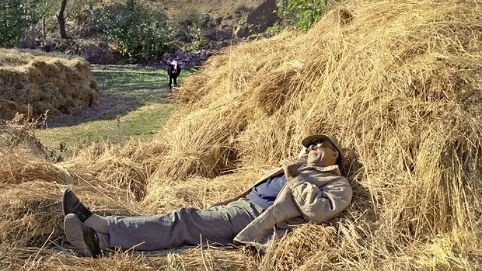 کمردرد کیارستمی و خلق یک تصویر تاریخی برای جشنواره فجر